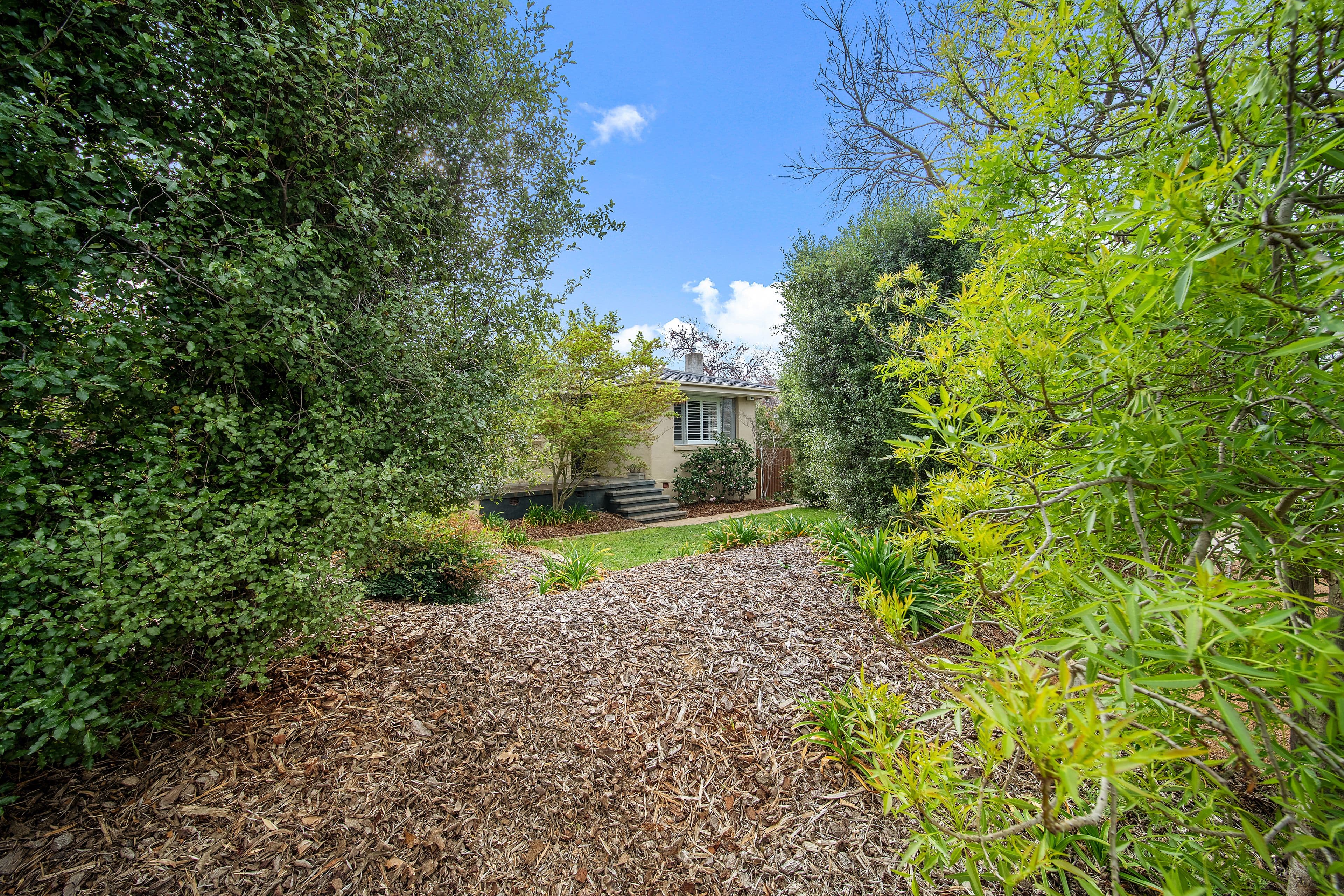 4 Burnie Street, Lyons ACT 2606, Lyons - Thumbnail 4