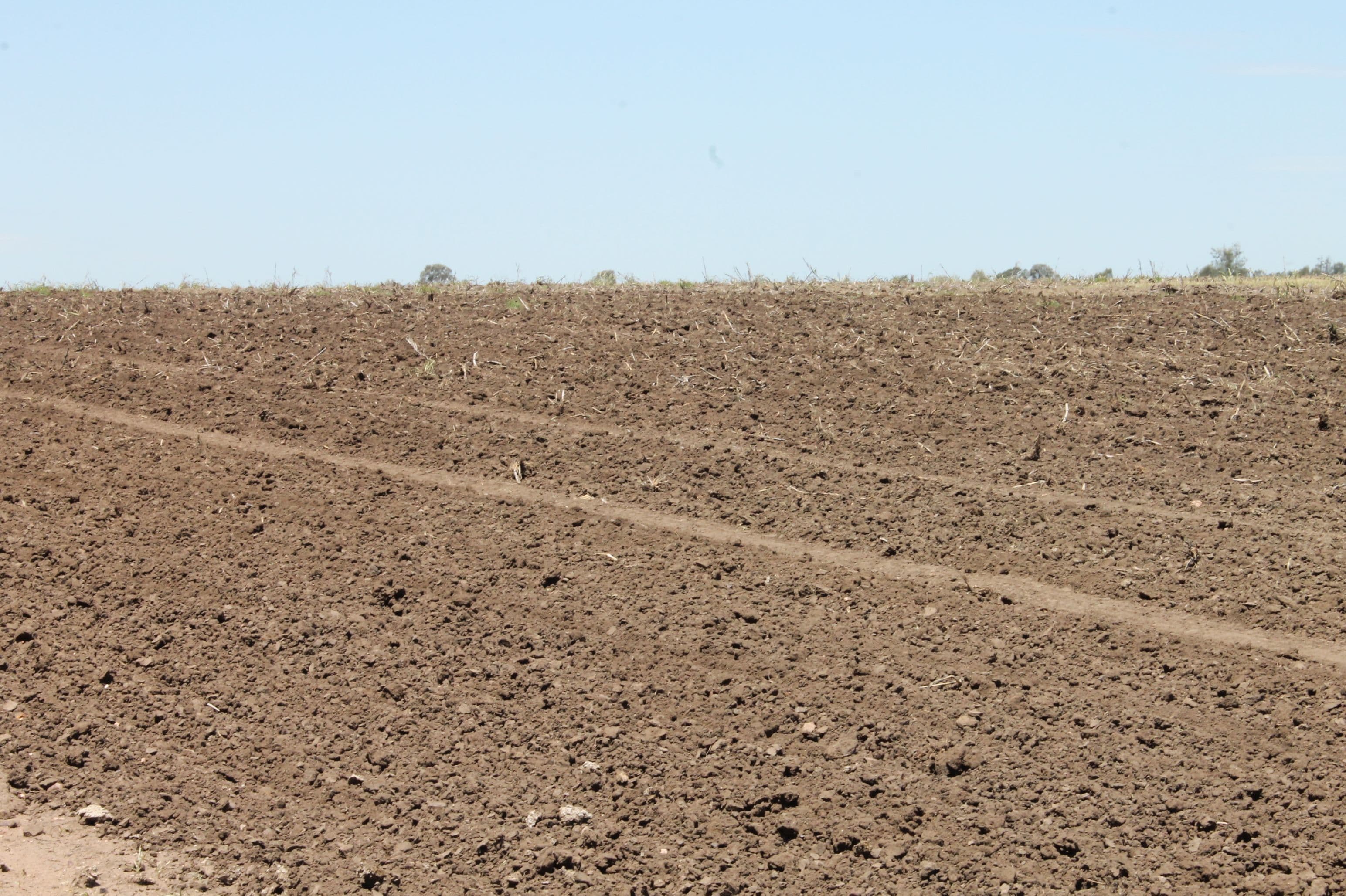 . Millmerran-Cecil Plains Road, Cecil Plains QLD 4407, Cecil Plains - Thumbnail 4
