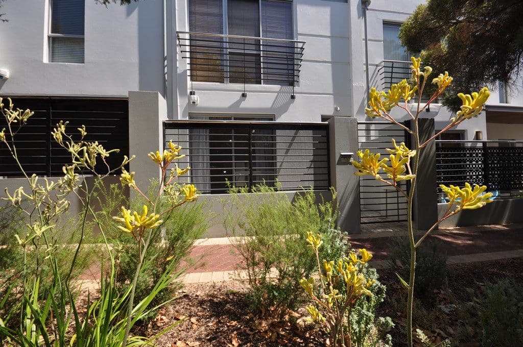3/15 Kadina Street, North Perth WA 6006, North Perth - Image 1