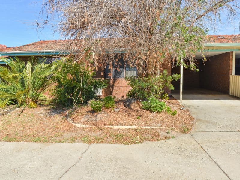 360 Acton Avenue, Kewdale WA 6105, Kewdale - Thumbnail 2