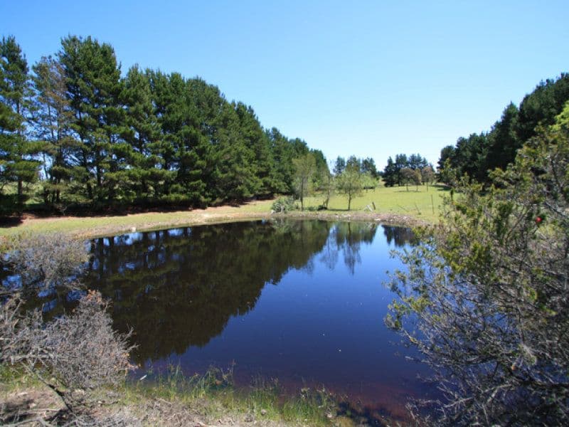 78 Taylors Creek Road, Bungendore NSW 2621, Bungendore - Thumbnail 2
