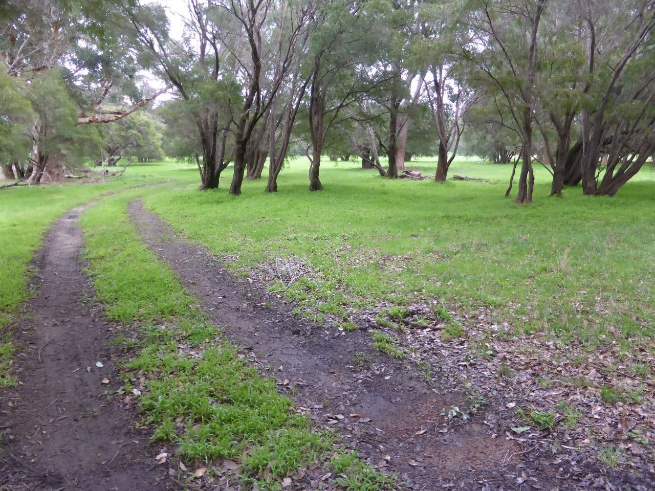 PL 401 Bushby Road, Karridale WA 6288, Karridale - Thumbnail 4