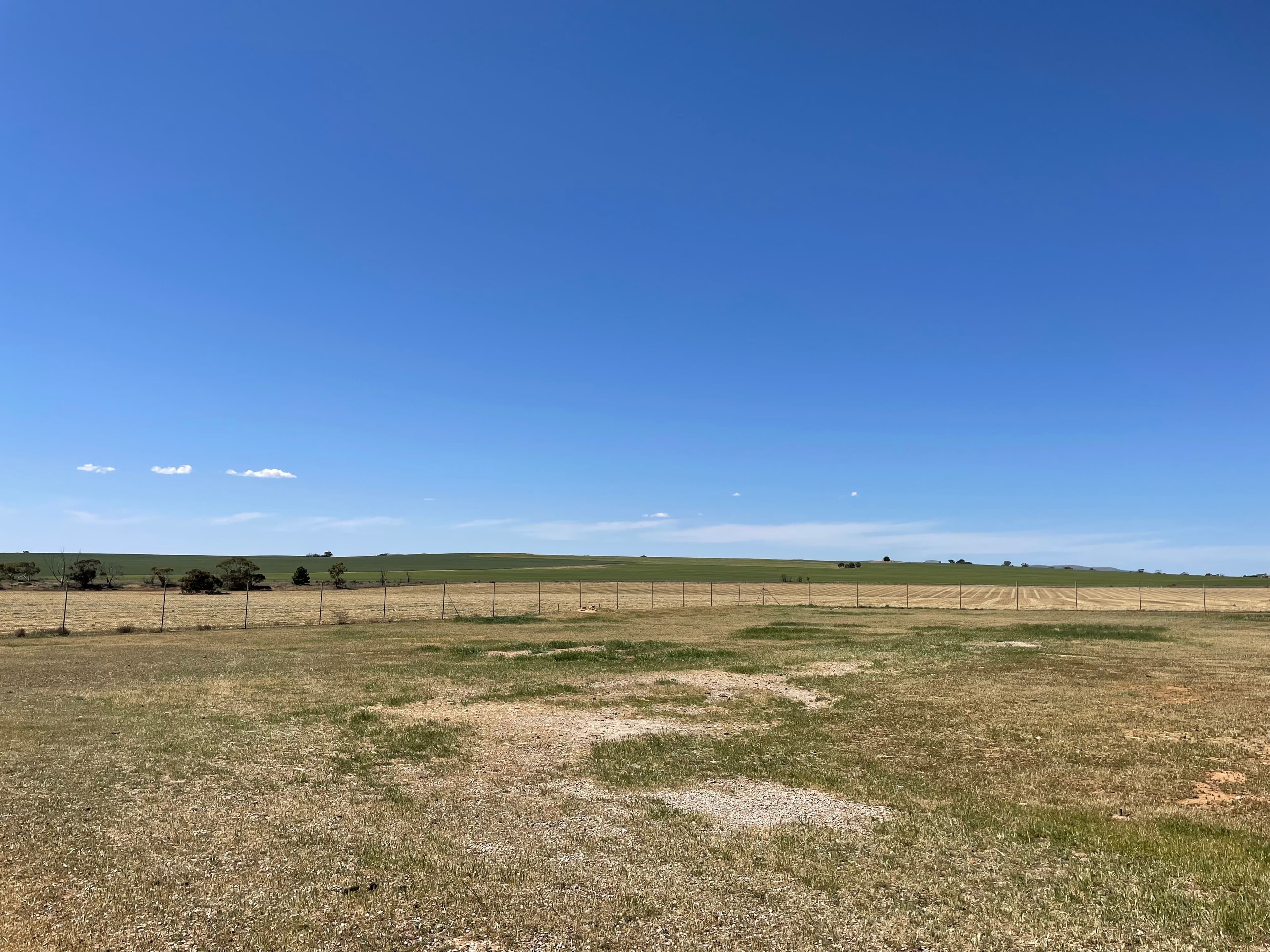 Lot 732 Arthur Street, Booleroo Centre SA 5482, Booleroo Centre - Thumbnail 7
