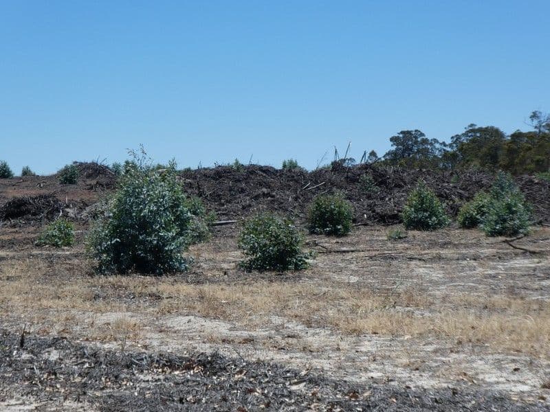 Lot 8 Rocky Gully Road, Rocky Gully WA 6397, Rocky Gully - Image 1