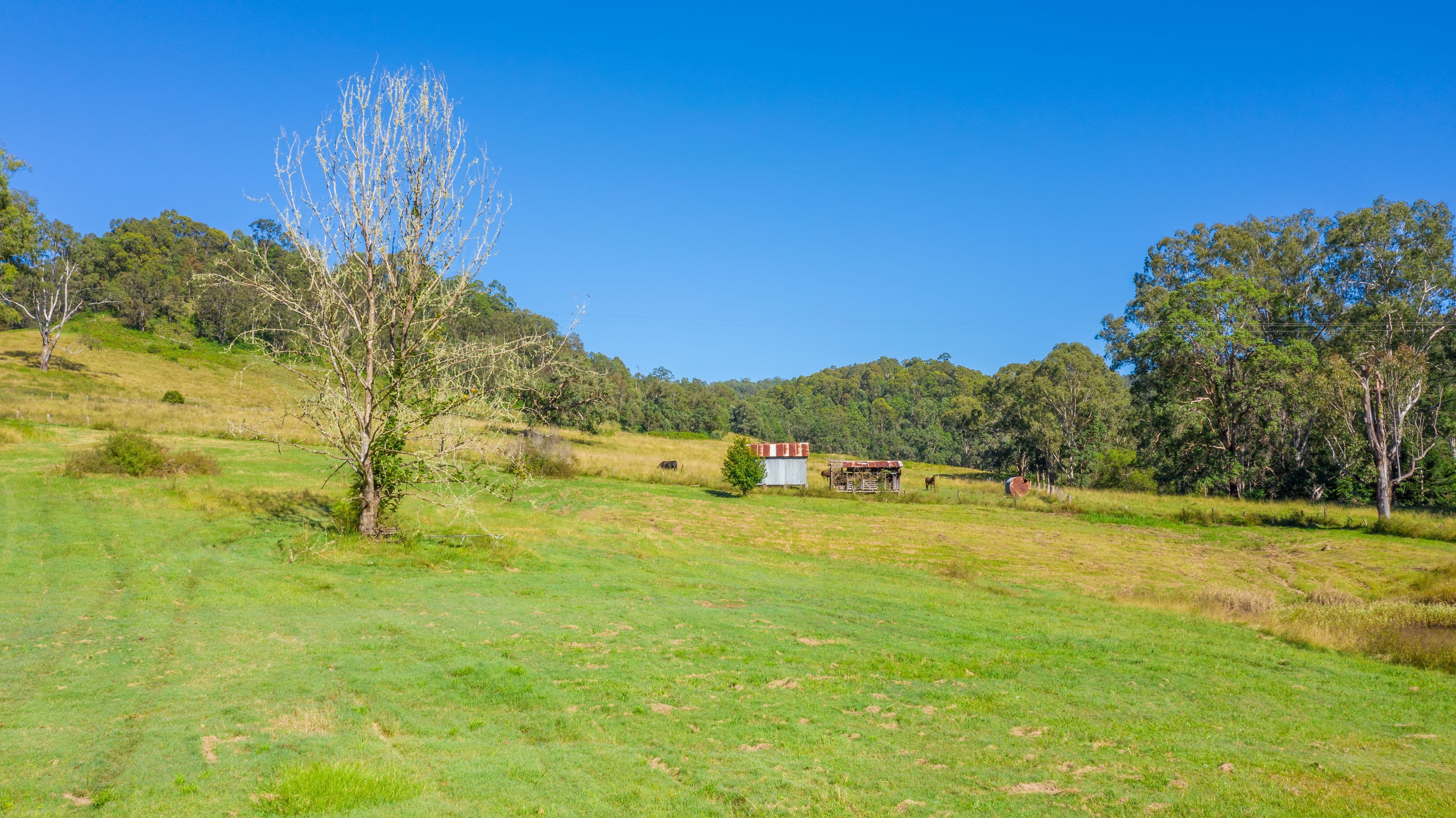 937 Duck Creek Road, Old Bonalbo NSW 2469, Old Bonalbo - Thumbnail 7