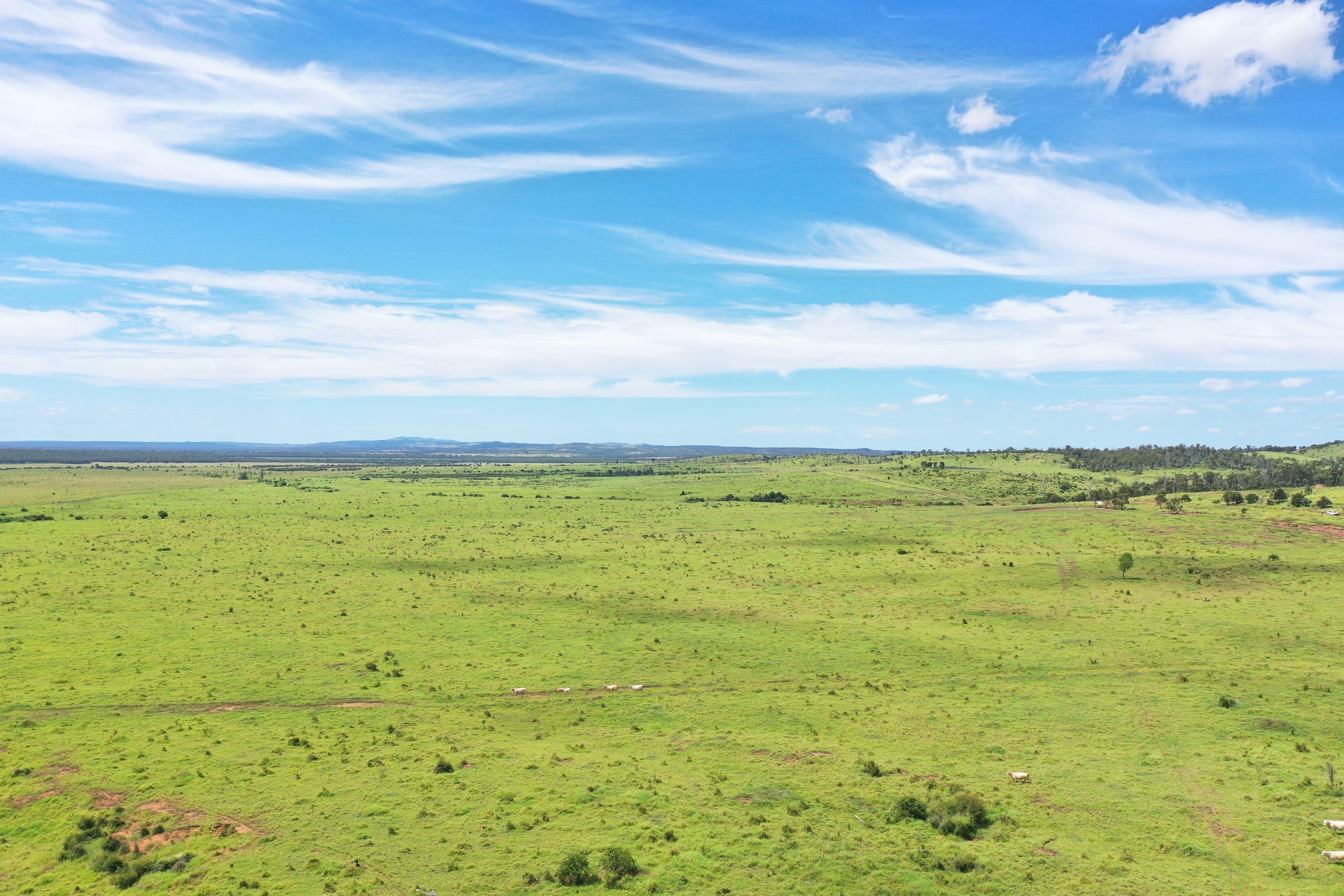 "Melaleuca" 1341 Rookwood Road, Gogango QLD 4702, Gogango - Thumbnail 2
