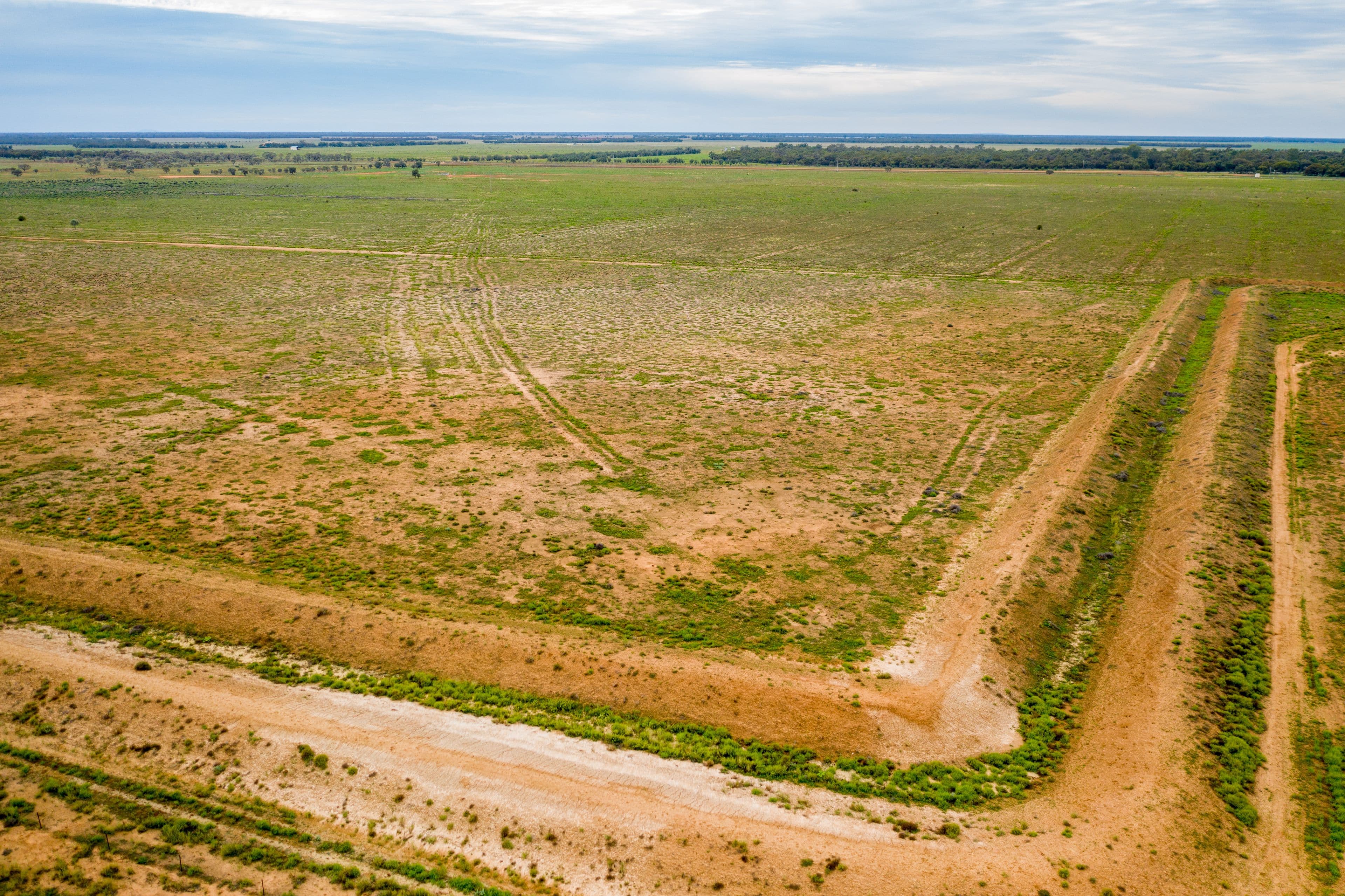 3297 Roto Road, Hillston NSW 2675, Hillston - Thumbnail 6