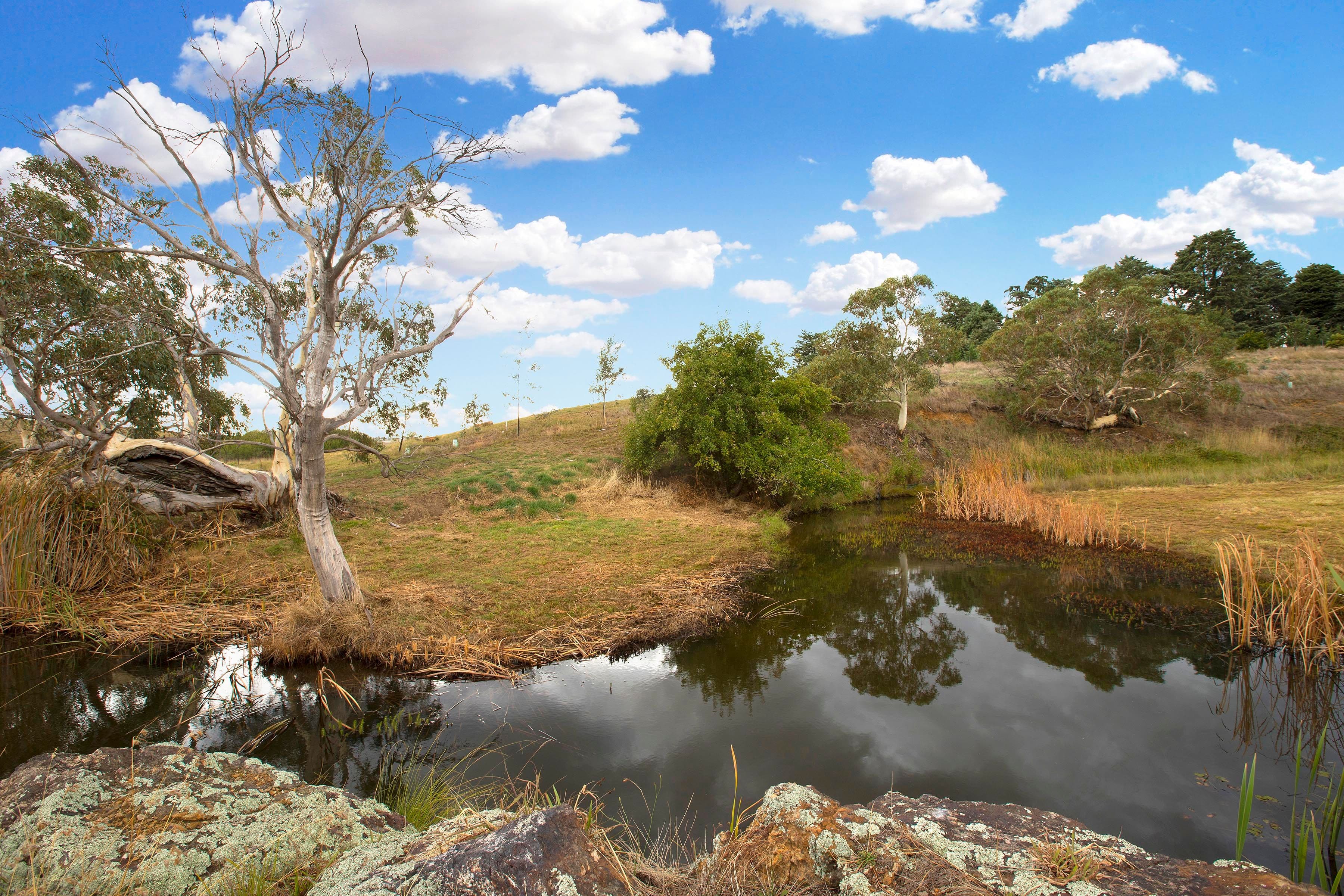 Lot 2, 72 Birril Close, Springrange NSW 2618, Springrange - Thumbnail 2