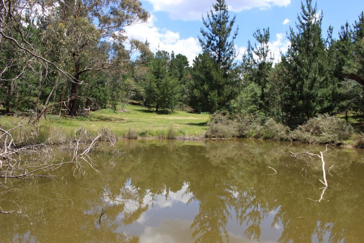 MOUNT LAMBIE NSW 2790, Mount Lambie - Thumbnail 7