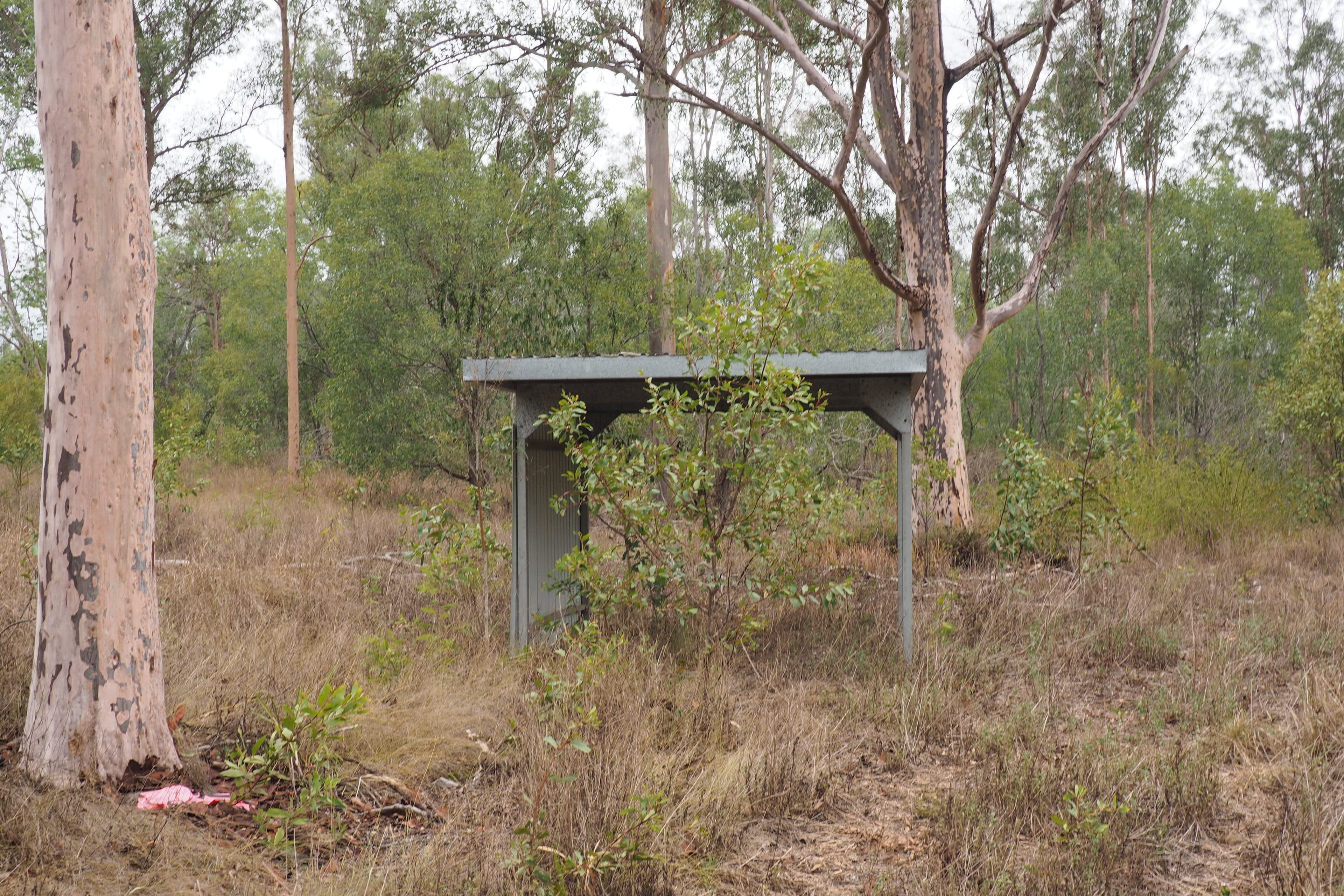 195 Nangarin Road, Oakhurst QLD 4650, Oakhurst - Thumbnail 8