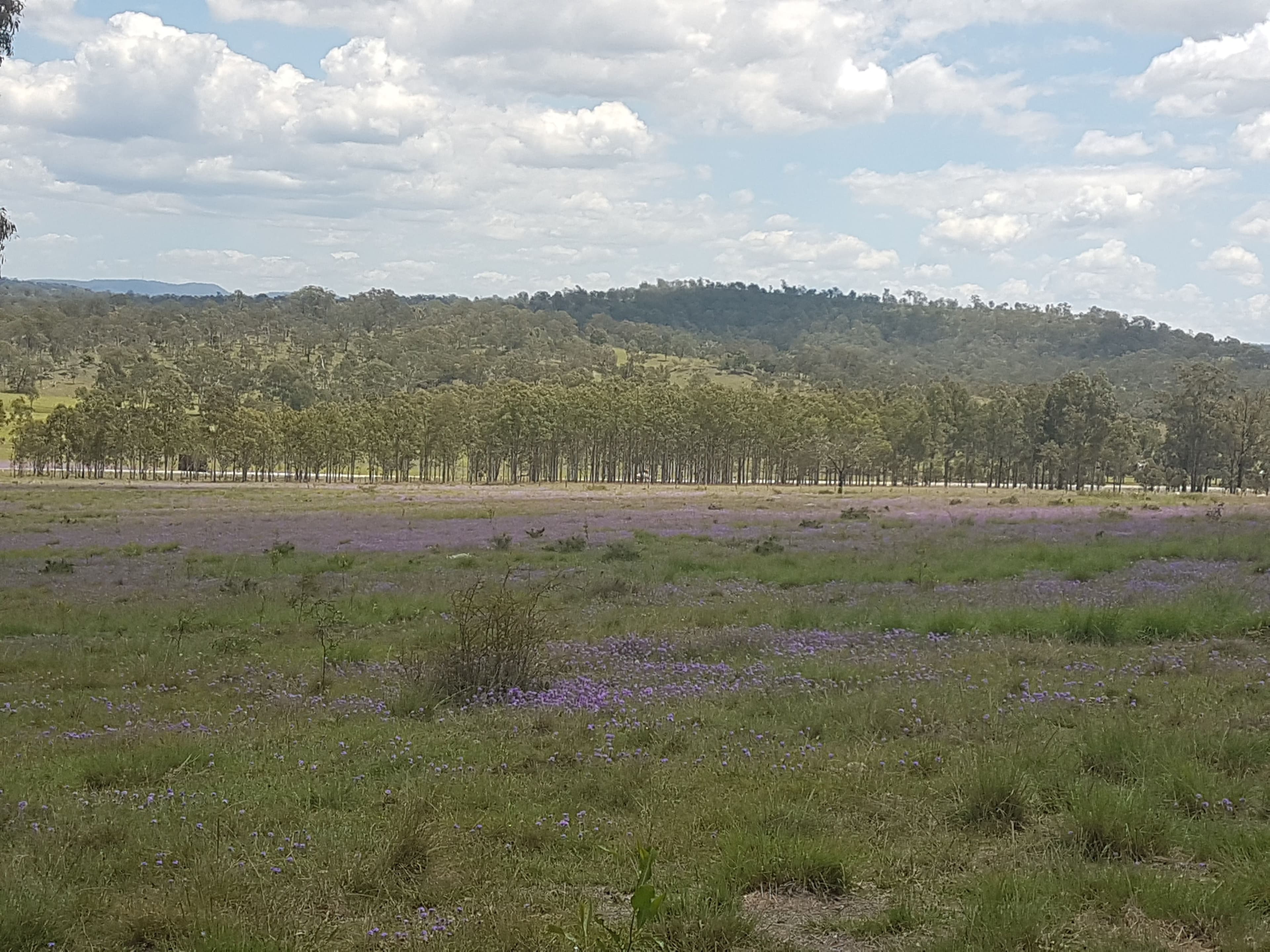 3303 New England Highway, Cooyar QLD 4402, Cooyar - Thumbnail 4
