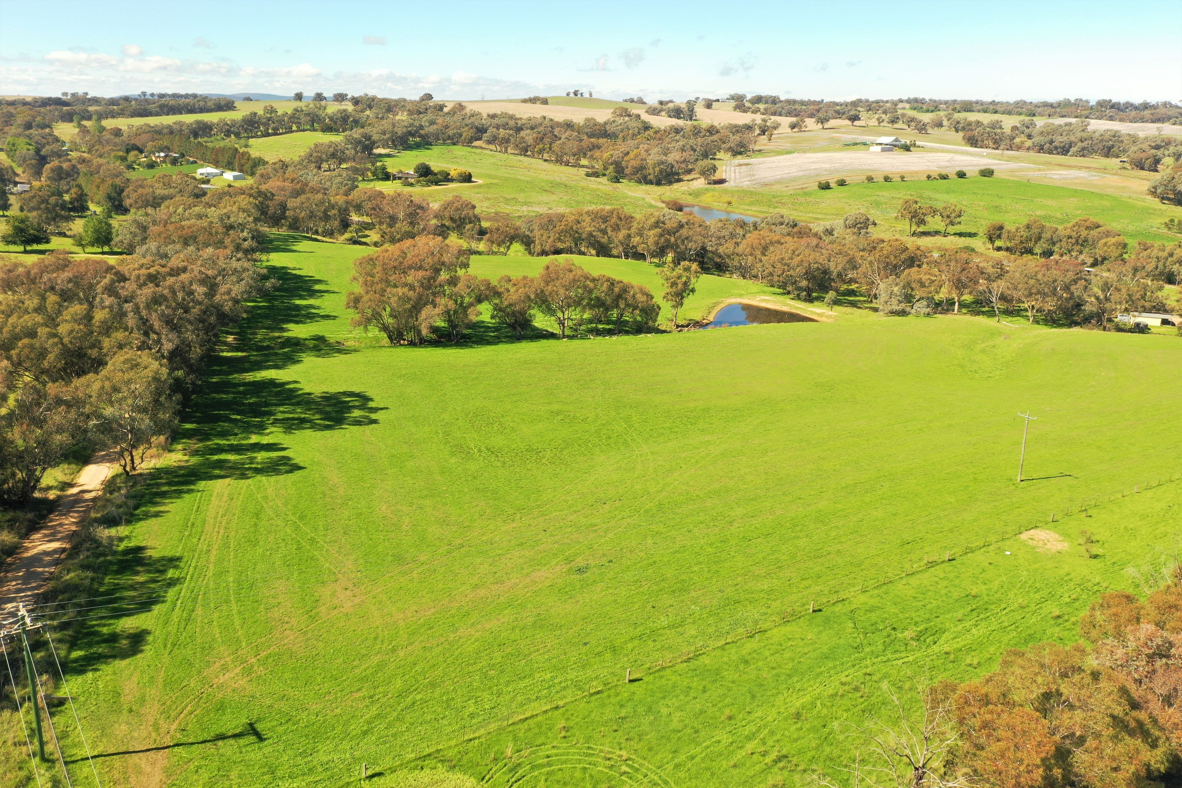 Telegraph Road, Young NSW 2594, Young - Image 1