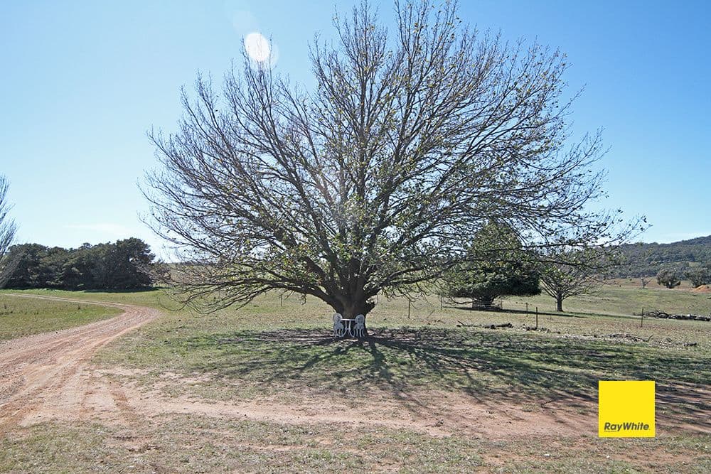 1544 Collector Road, Currawang NSW 2580, Currawang - Thumbnail 6