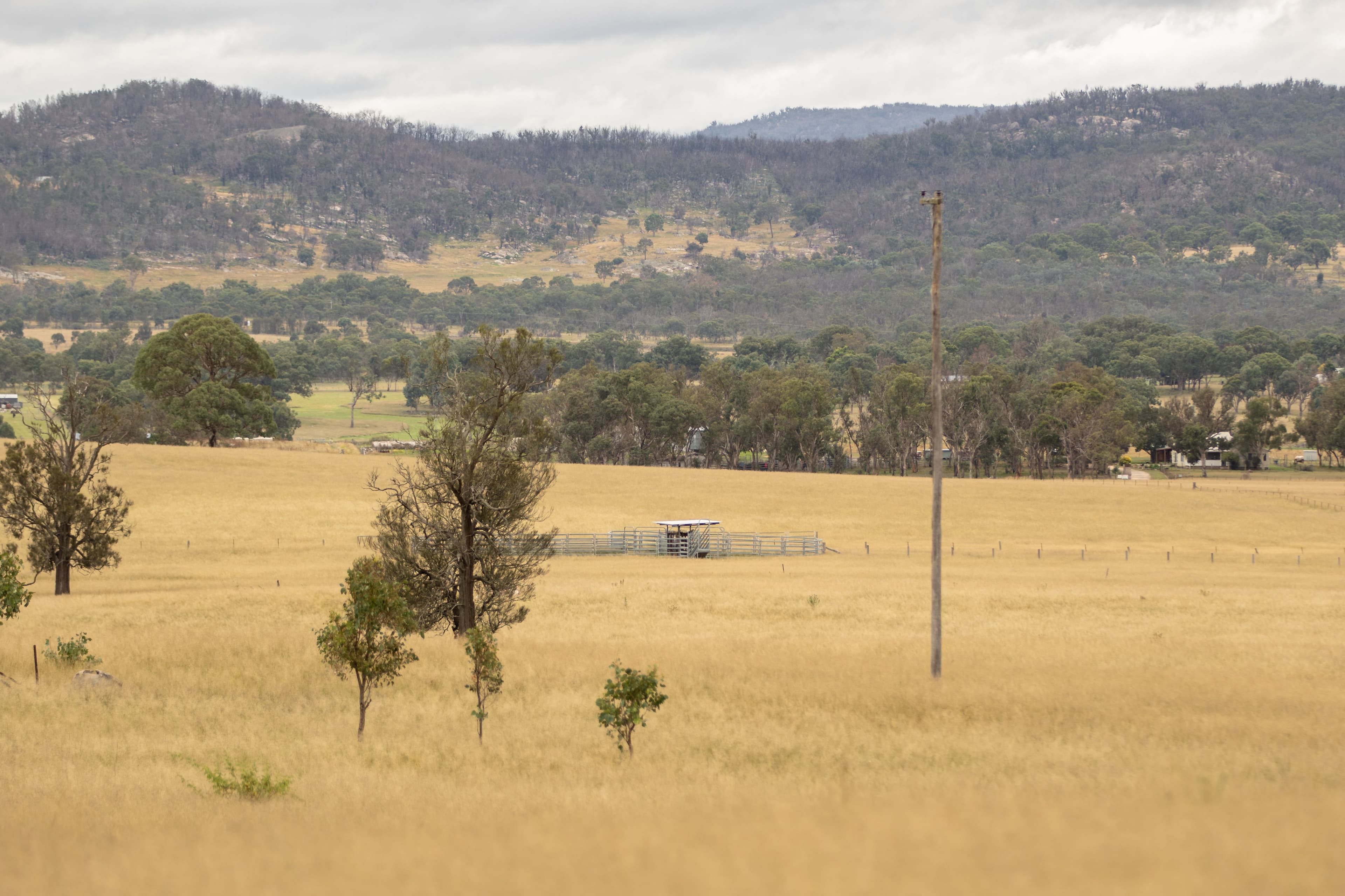 68 Ross Road, Tenterfield NSW 2372, Tenterfield - Thumbnail 5