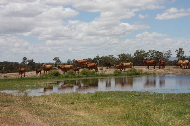 Jambin QLD 4702, Jambin - Image 1