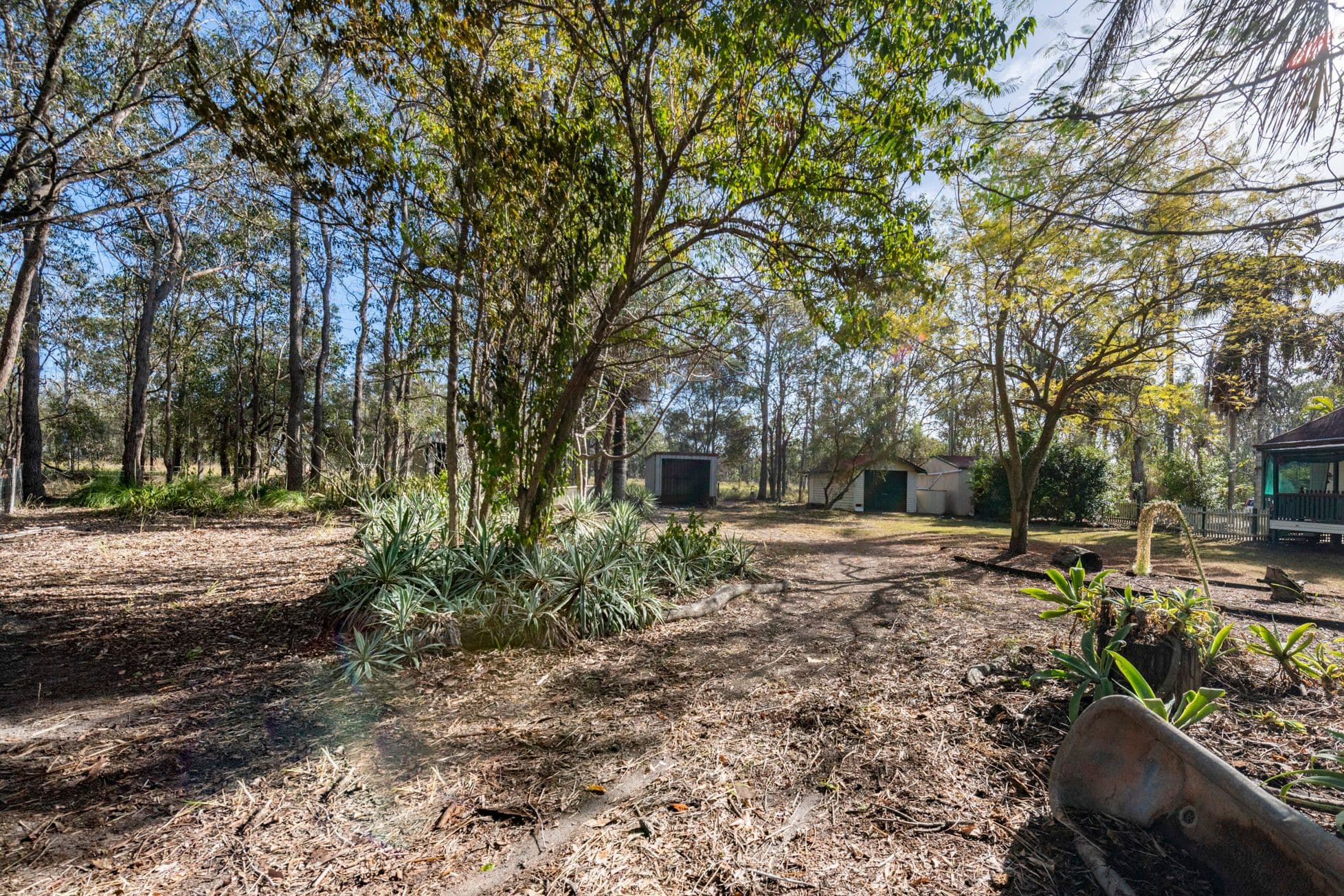 4 Willdora Drive, Elliott QLD 4670, Elliott - Thumbnail 5