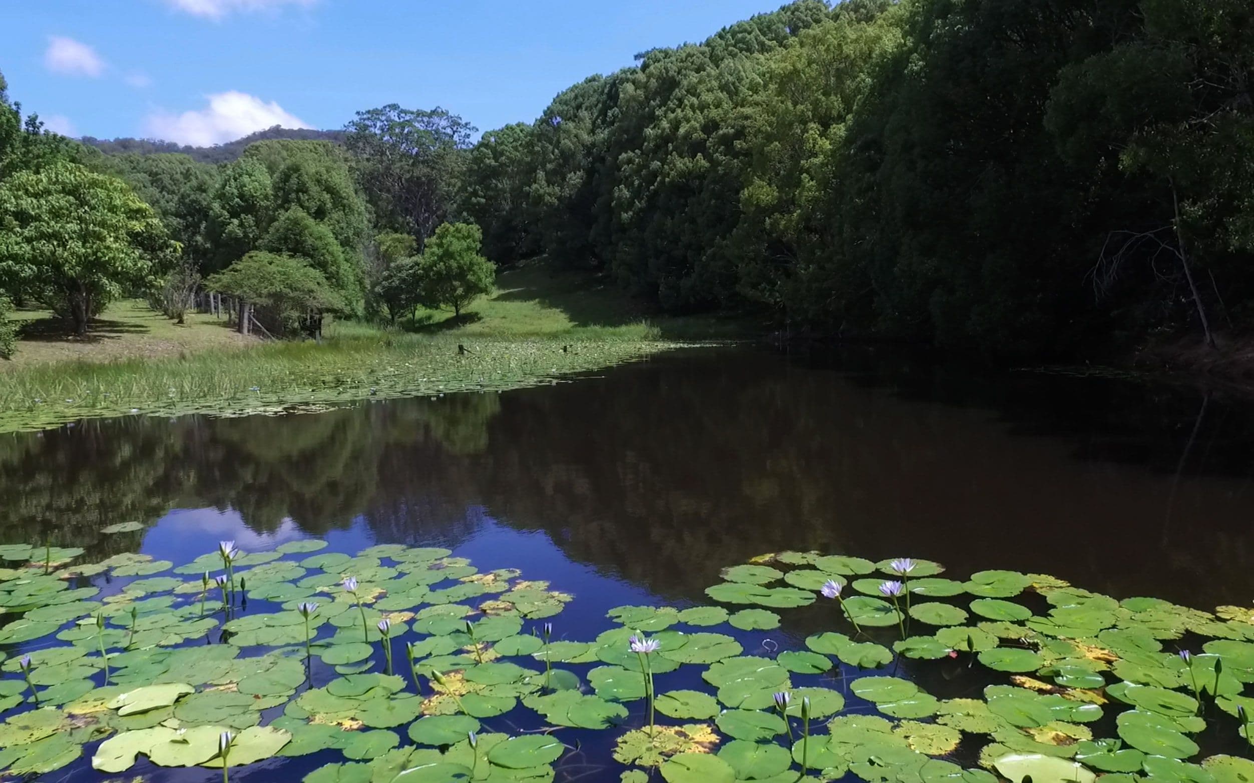 276 Nolans Road, Stokers Siding - Thumbnail 6