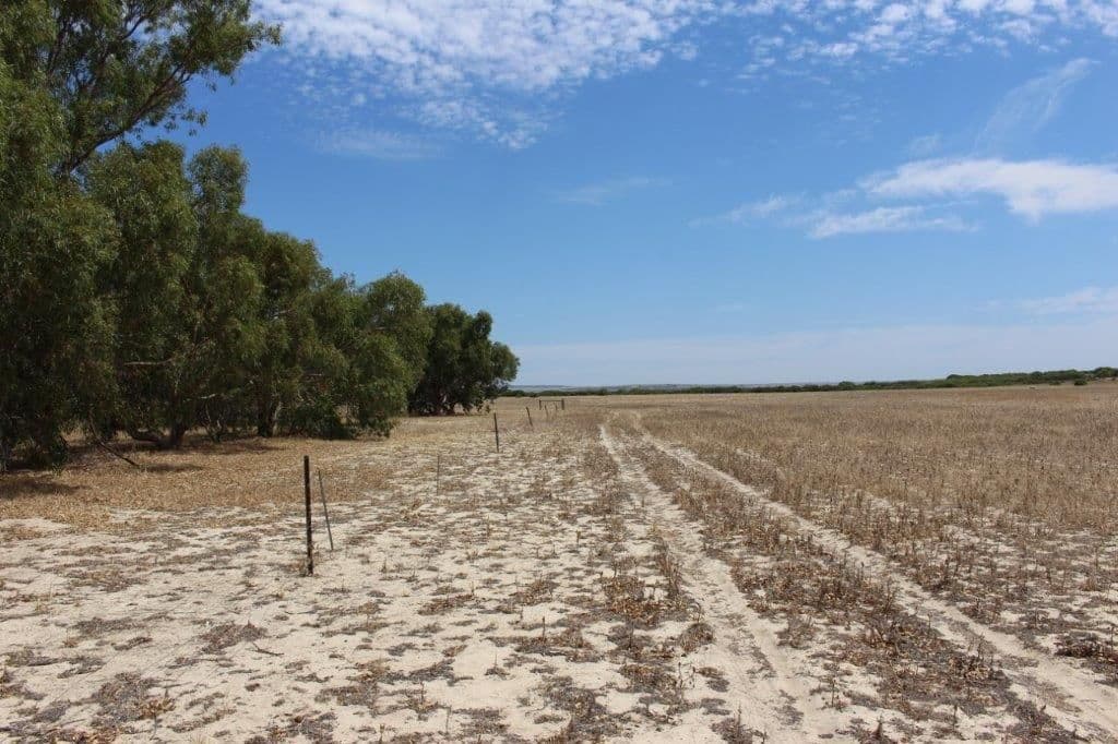 Lot M344 Mt Horner Road, Yardarino WA 6525, Yardarino - Thumbnail 3