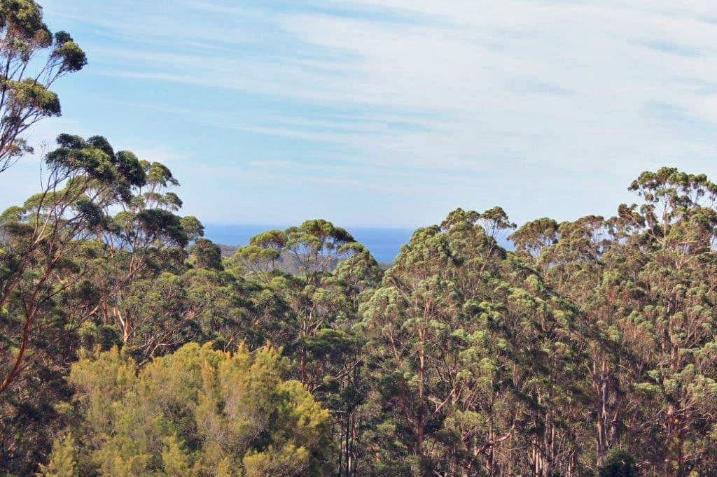 Lot 39 Middleton Close, Denmark WA 6333, Denmark - Thumbnail 2