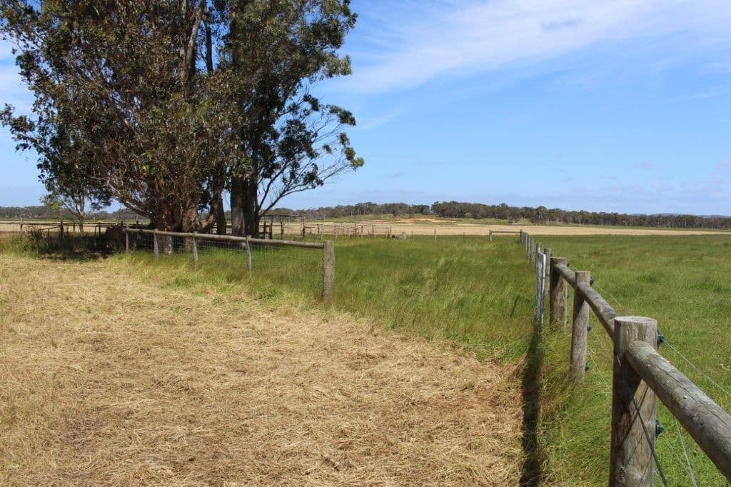 73 Belmore Road, Youngs Siding WA 6330, Youngs Siding - Thumbnail 2