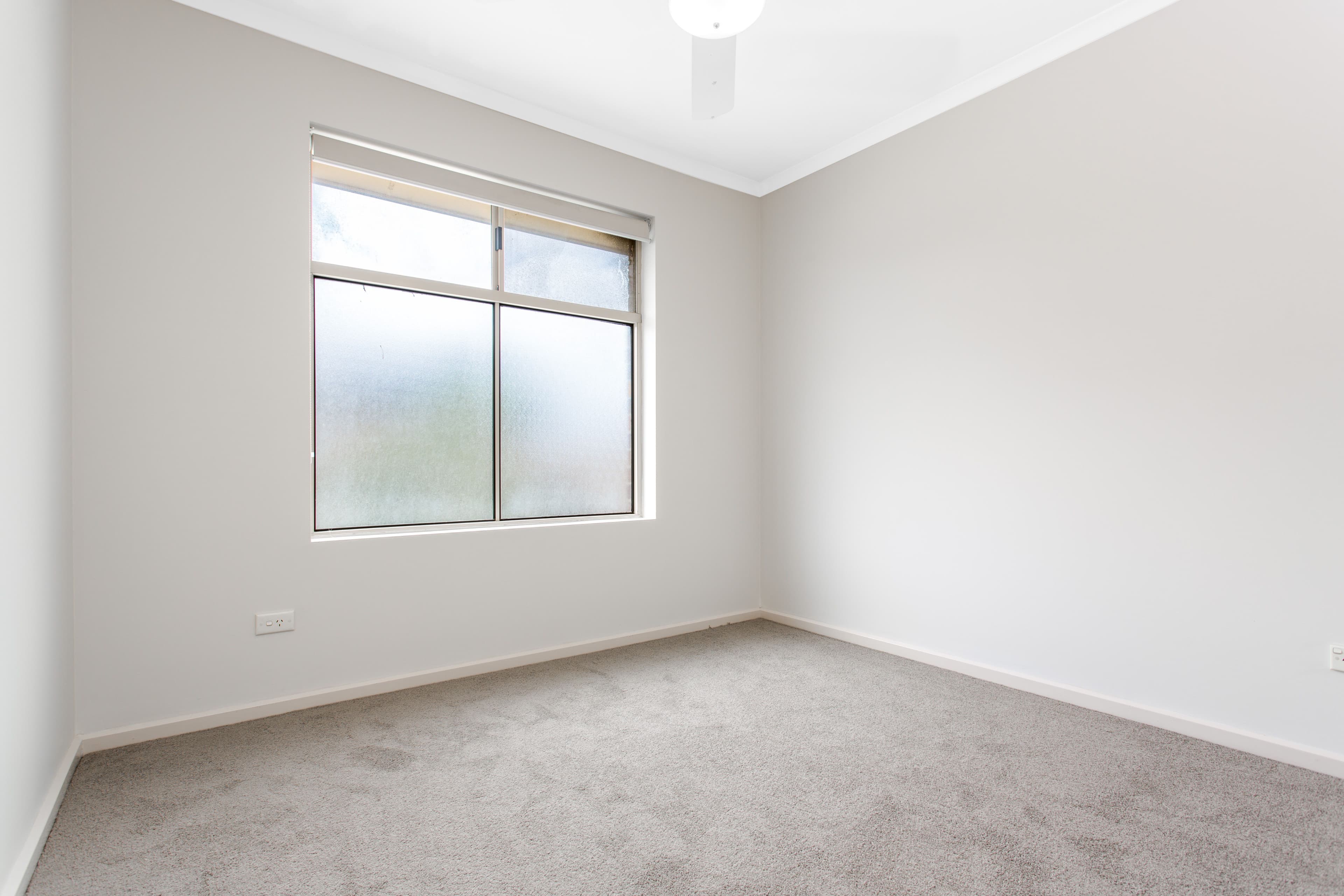 29 Coburg Road, Alberton SA 5014, Alberton - Thumbnail 4