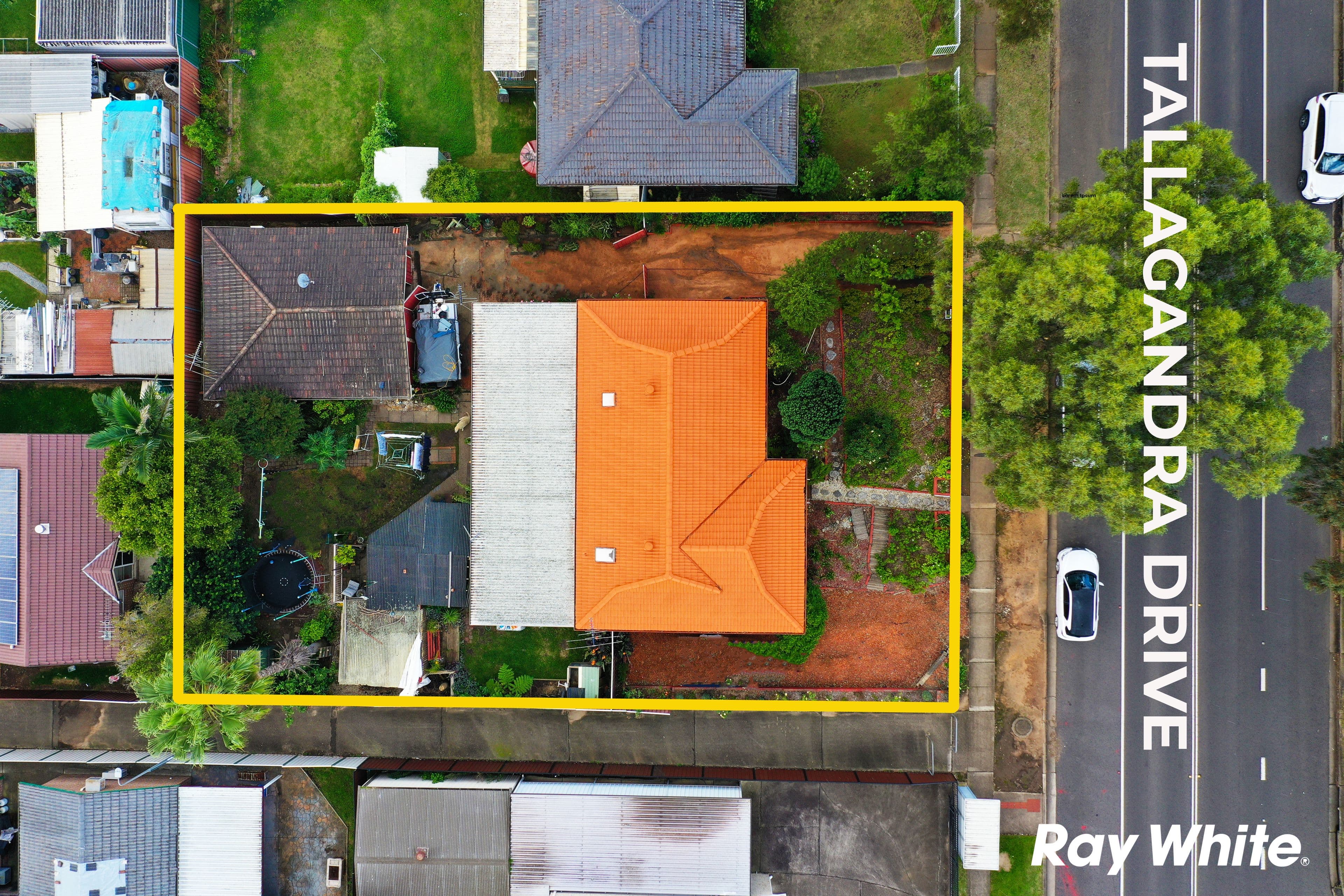 100 Tallagandra Drive, Quakers Hill NSW 2763, Quakers Hill - Thumbnail 2
