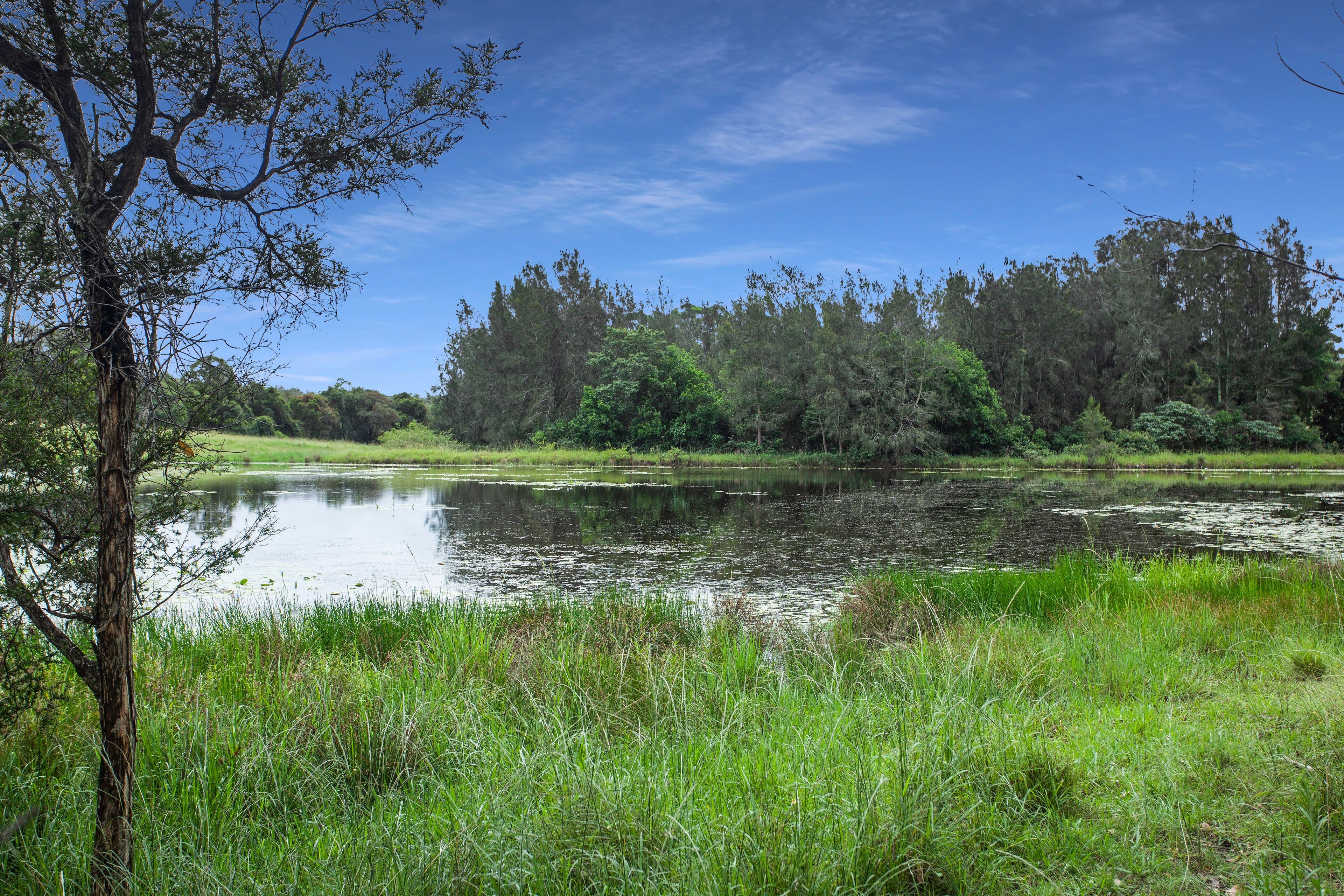 156 Clarkes Road, Tinonee NSW 2430, Tinonee - Thumbnail 2