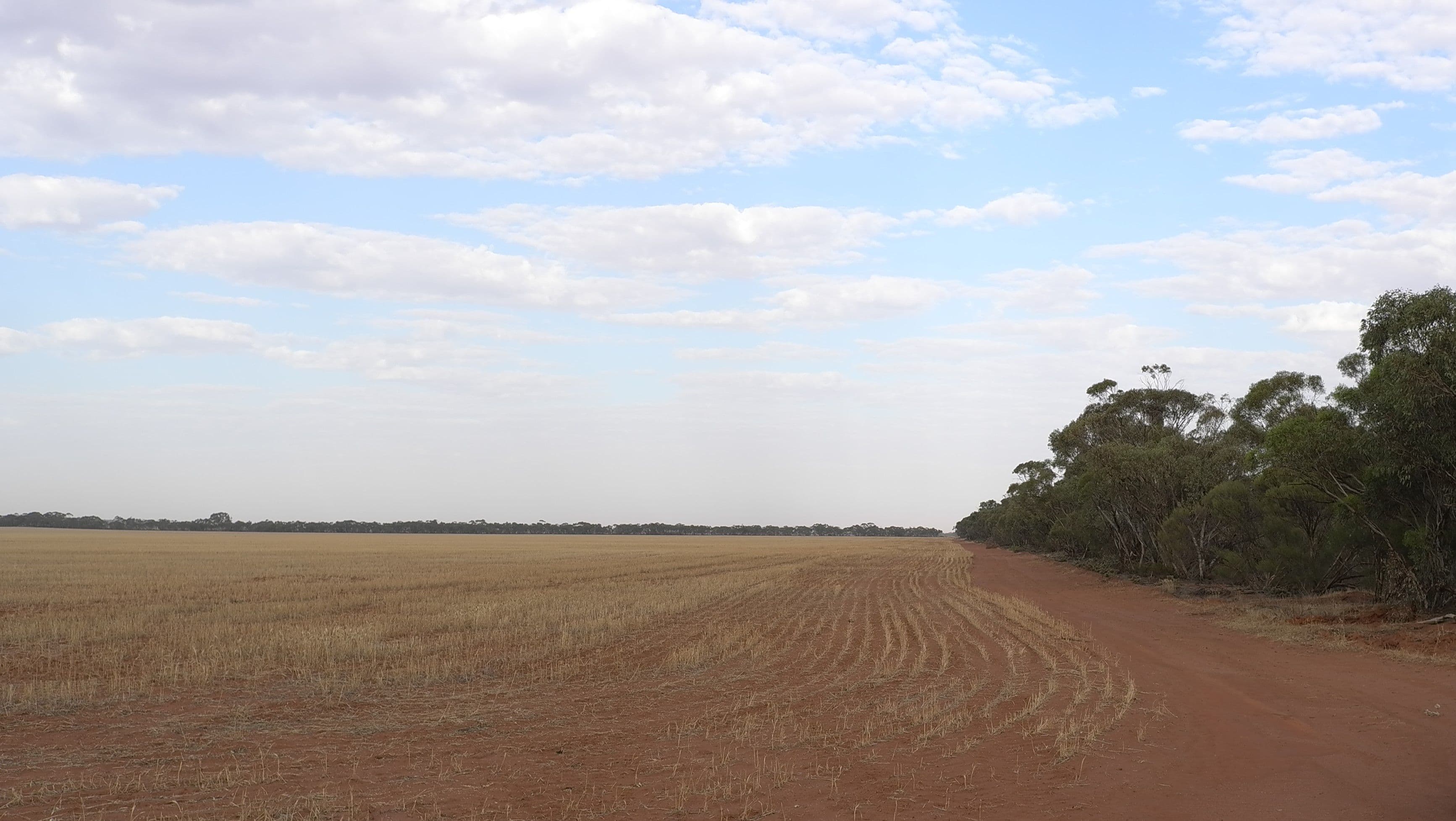 Heaths Road, Boorga NSW 2652, Boorga - Thumbnail 7