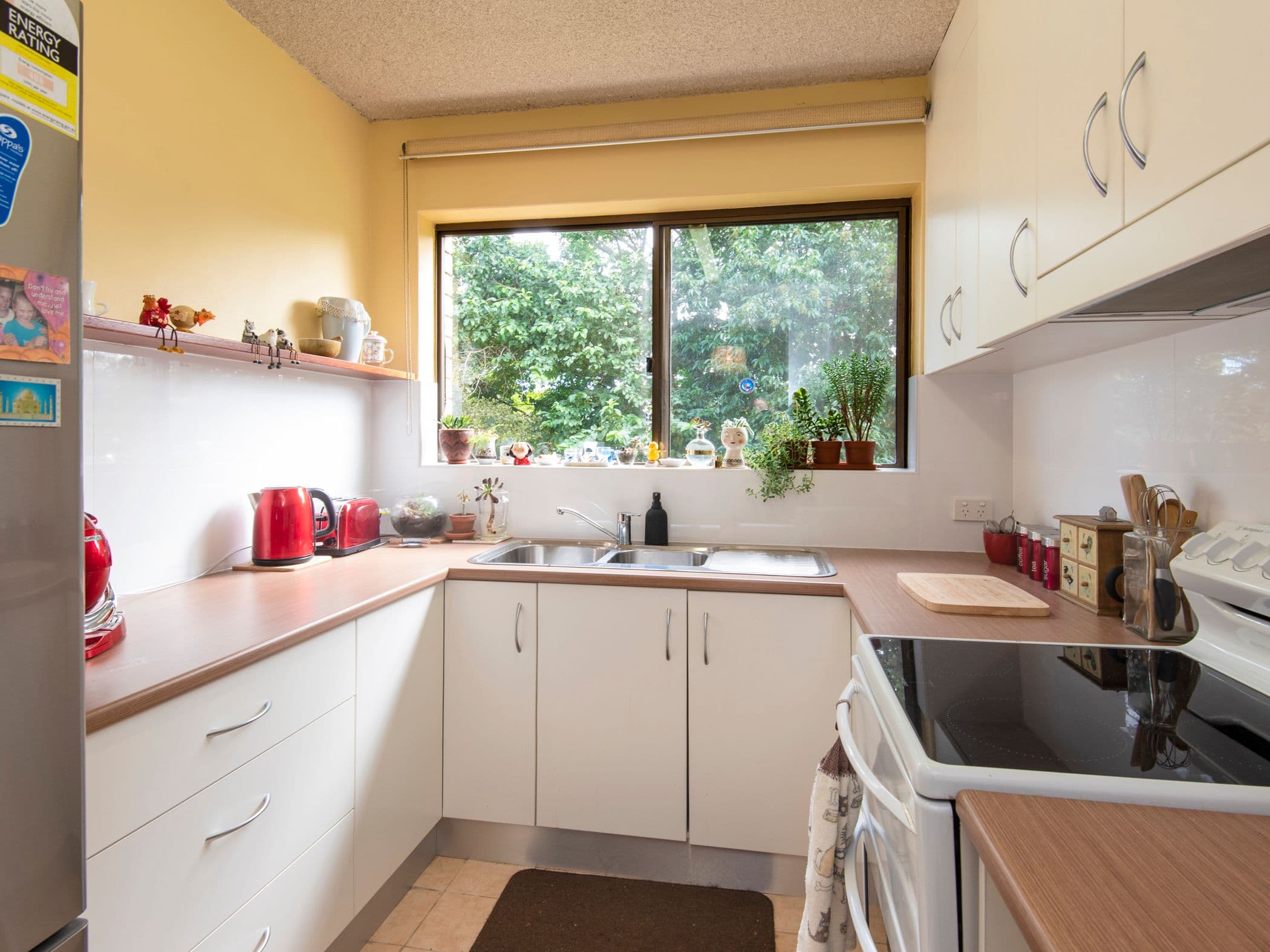 2/61 O'Flynn Street, Lismore Heights NSW 2480, Lismore Heights - Thumbnail 2