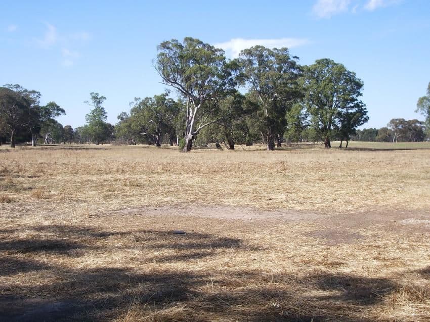 433 Golf Course Road, Bordertown SA 5268, Bordertown - Thumbnail 8