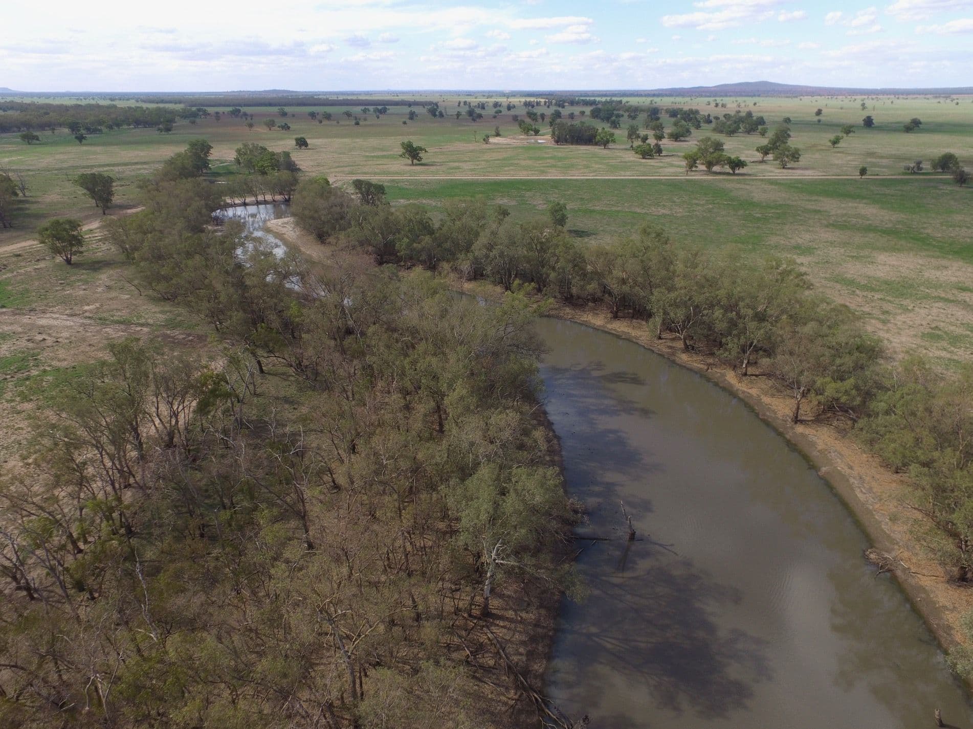 Nerokewa 79 Reakes Road, Condobolin NSW 2877, Condobolin - Thumbnail 2