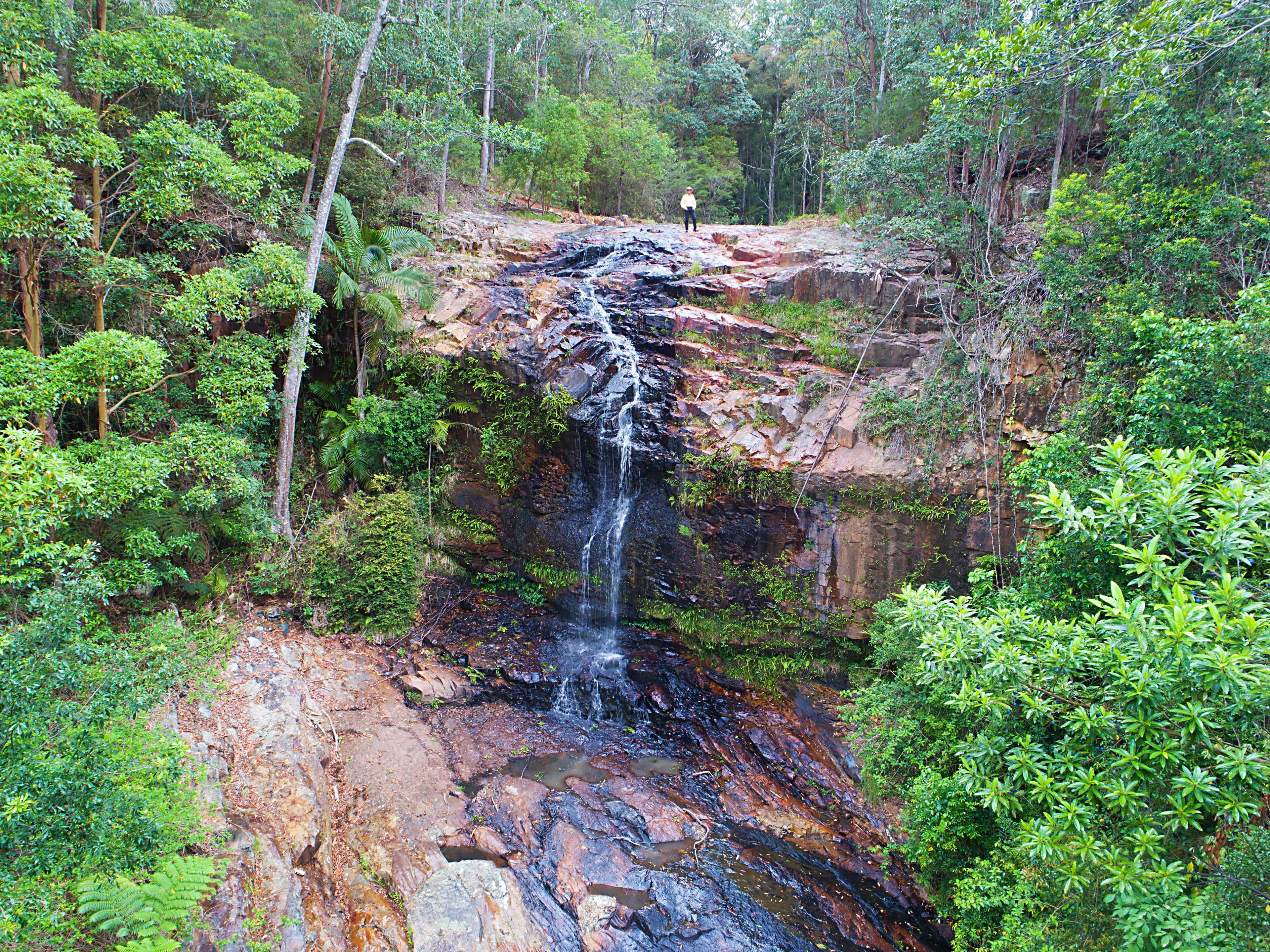 183 Tyalgum Ridge Road, Tyalgum NSW 2484, Tyalgum - Image 1