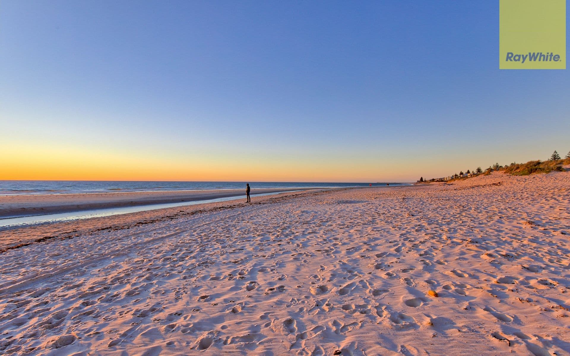 39 Esplanade, Henley Beach South SA 5022, Henley Beach South - Thumbnail 7