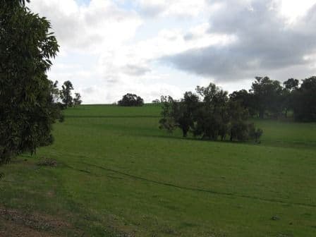 Pipeline Lot 2 Collie-Williams Road, West Williams, Williams WA 6391, Williams - Thumbnail 3