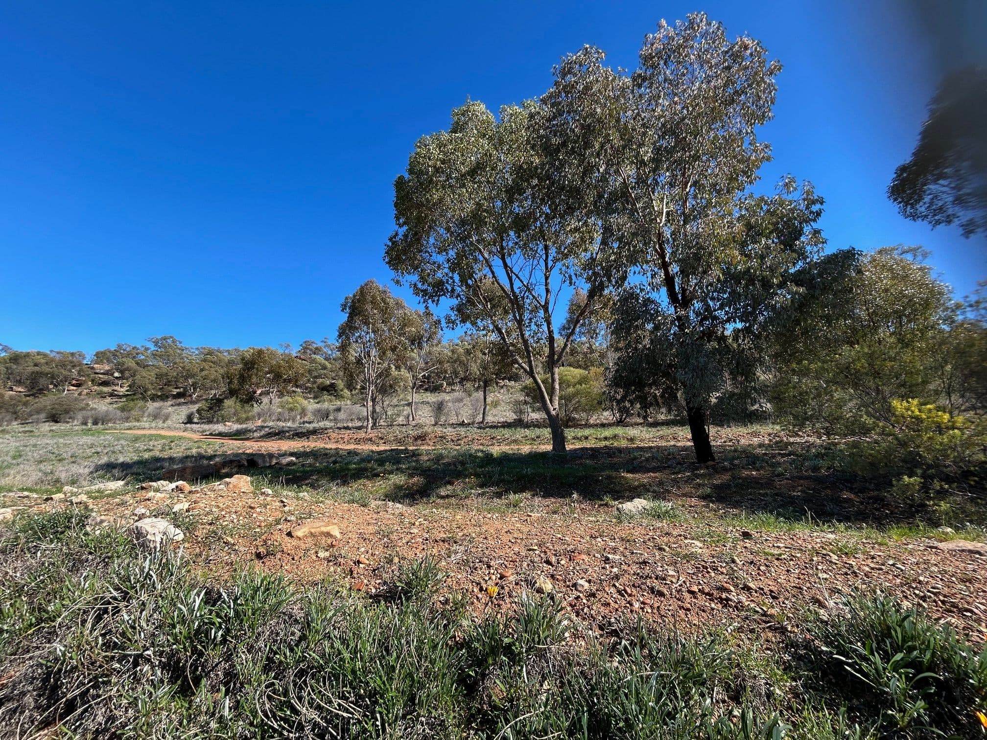 30 Waugh Street, Griffith NSW 2680, Griffith - Thumbnail 4