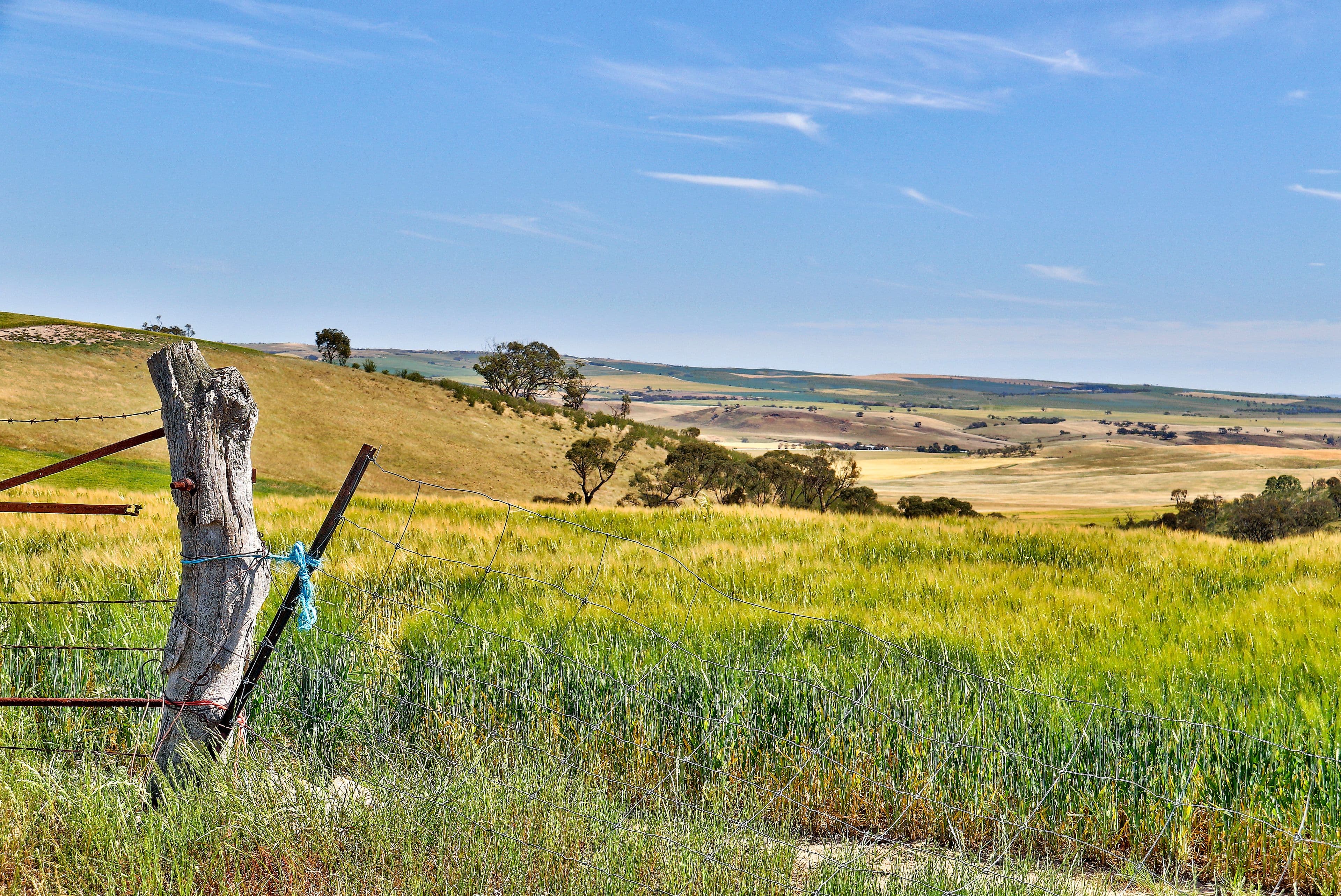 "Twin Valleys" Yacka - Andrews Road, YACKA SA 5470, Yacka - Thumbnail 5