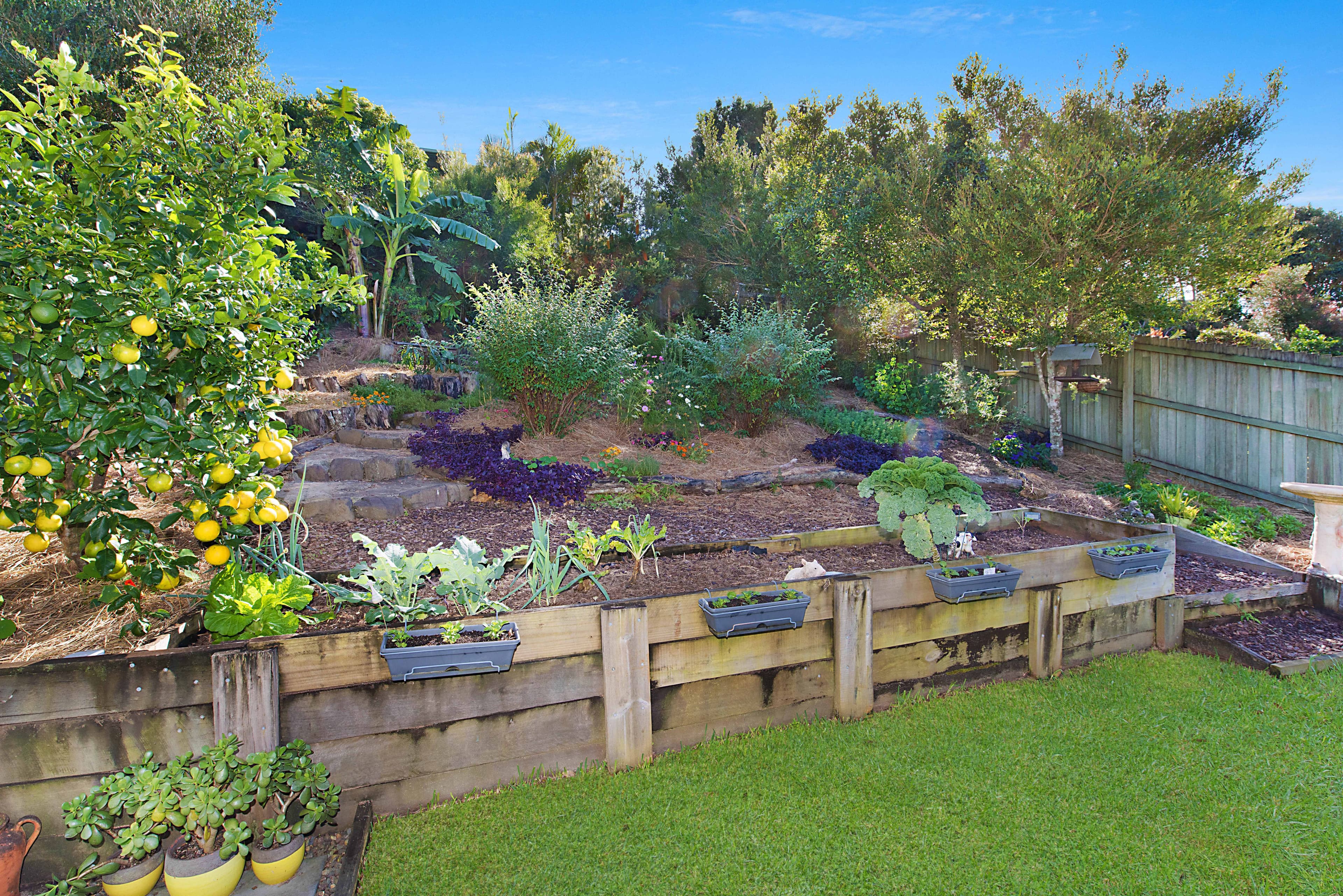 15/315 Nepean Highway, Parkdale, Parkdale - Thumbnail 8