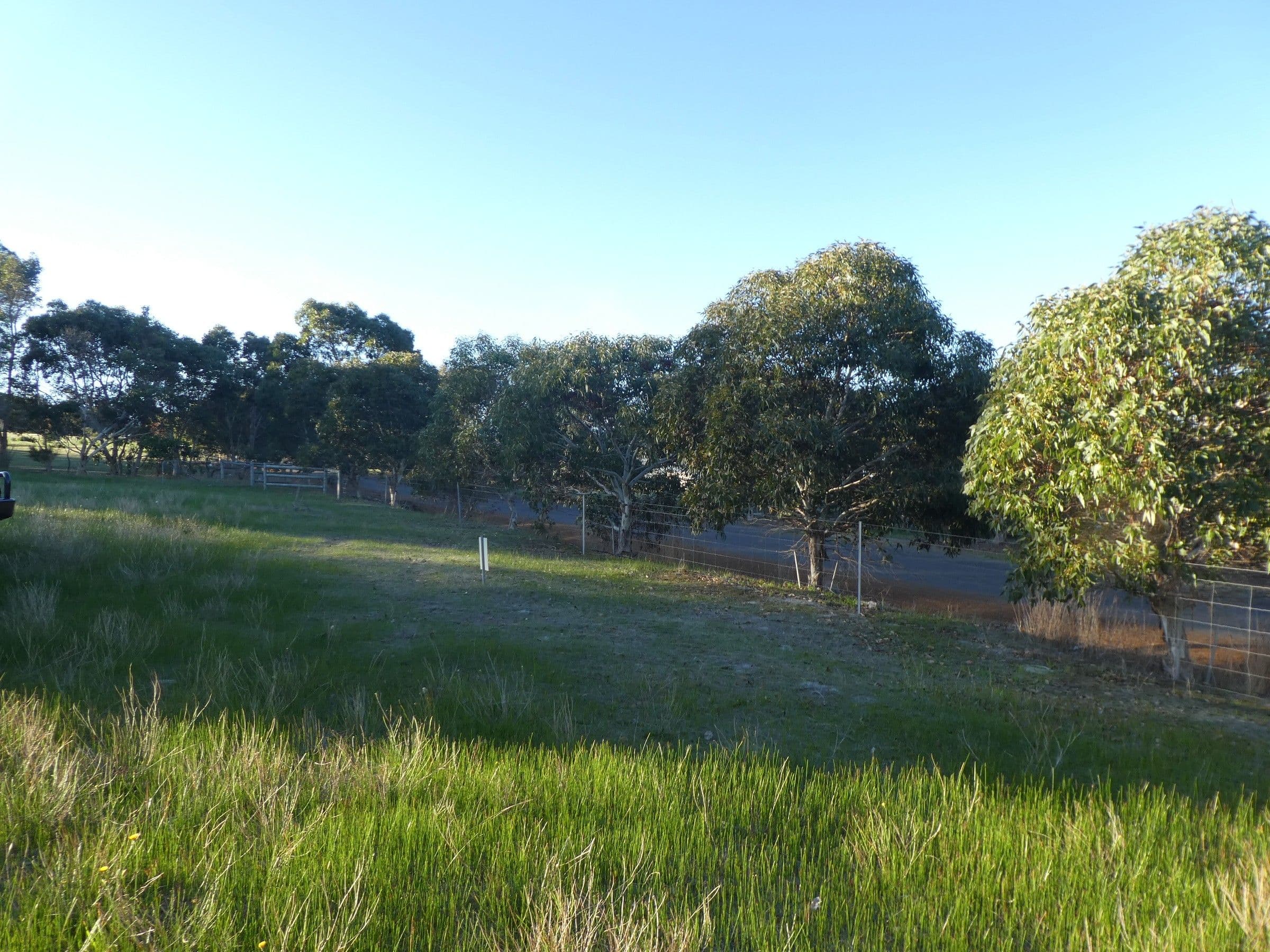 Lot 64 Braidwood Road, Mount Barker WA 6324, Mount Barker - Thumbnail 8