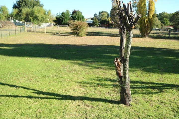 Glen Innes NSW 2370, Glen Innes - Thumbnail 3