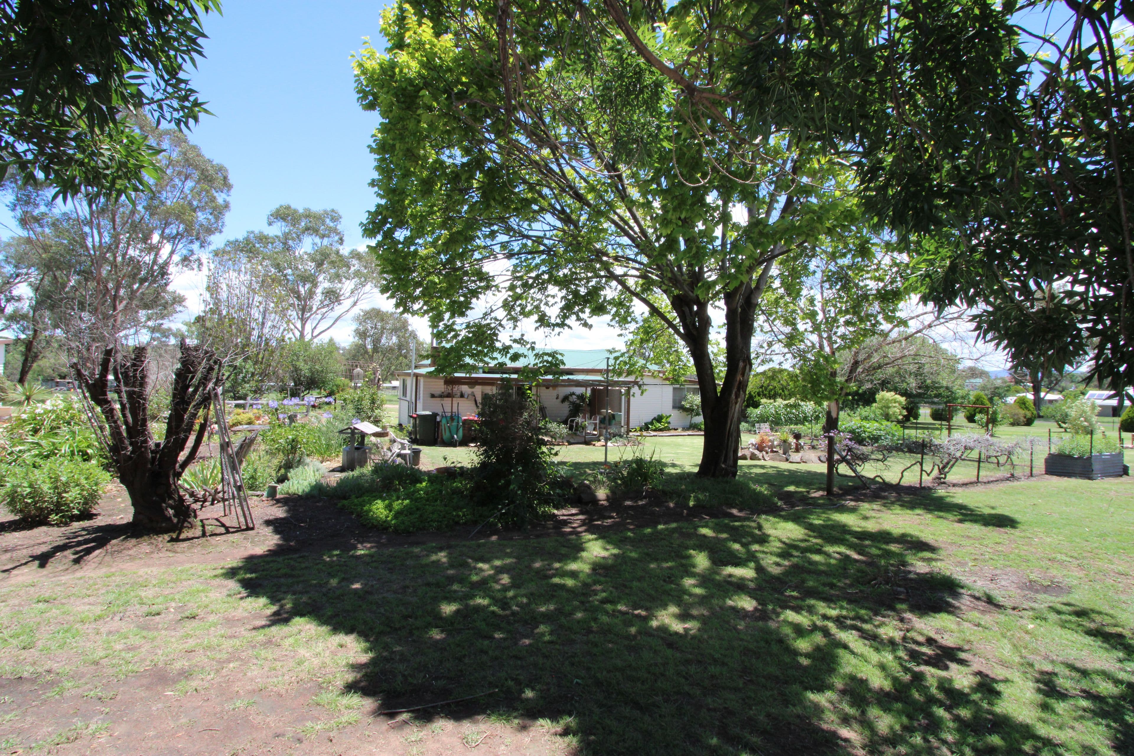 36 Souter Street, Bundarra NSW 2359, Bundarra - Thumbnail 5