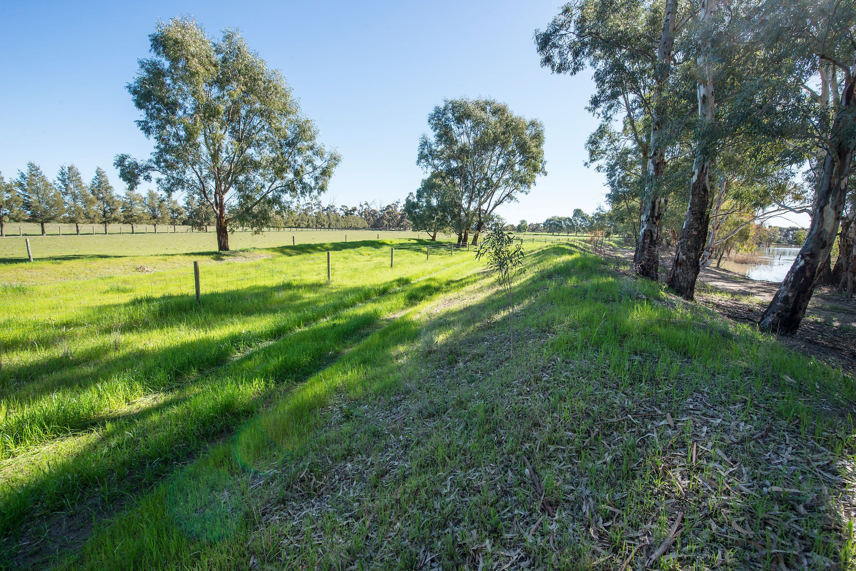 156 Maher Road, Swan Hill VIC 3585, Swan Hill - Thumbnail 4