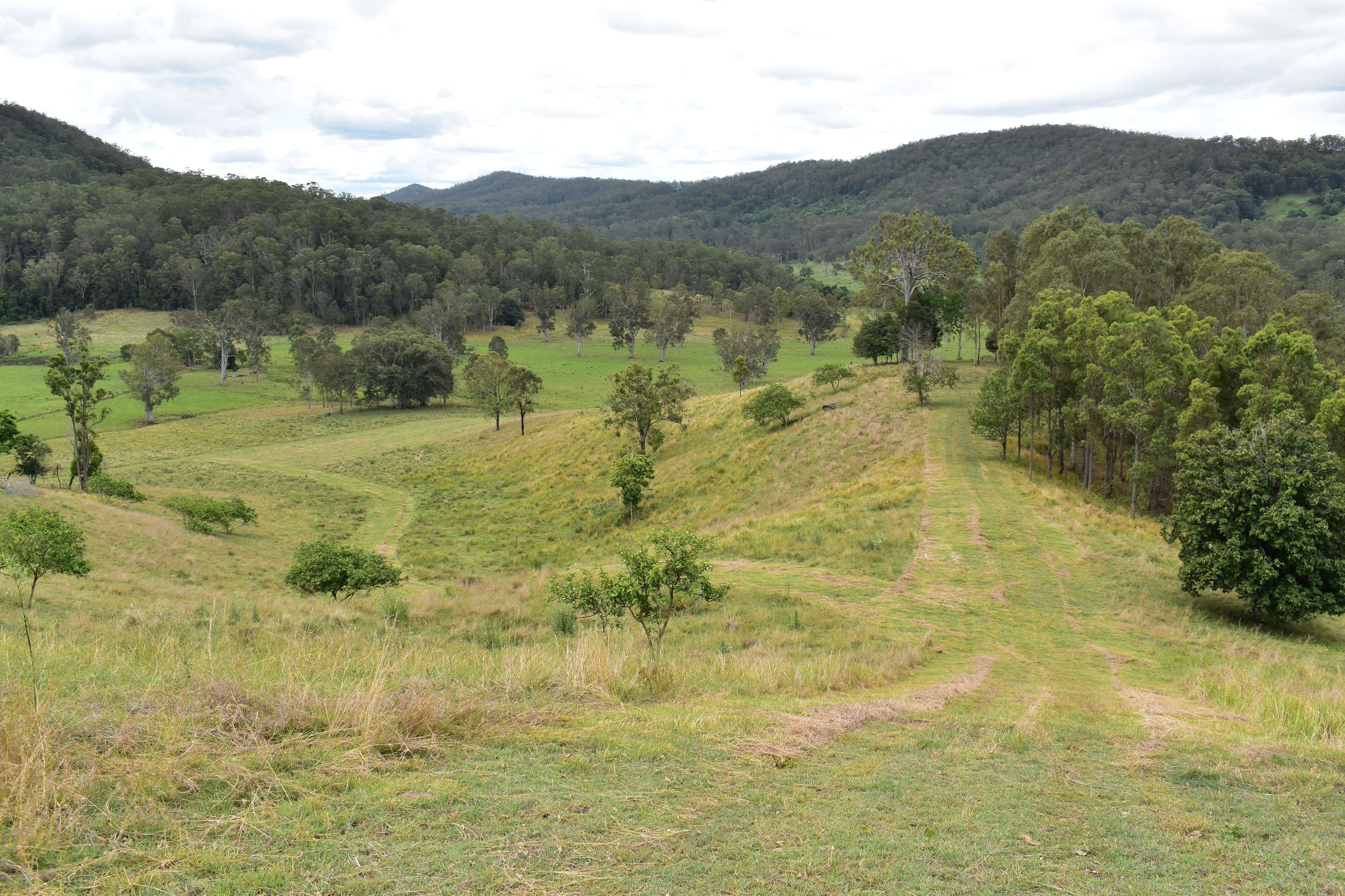 135C Bungabbee Road, Bungabbee NSW 2480, Bungabbee - Thumbnail 7