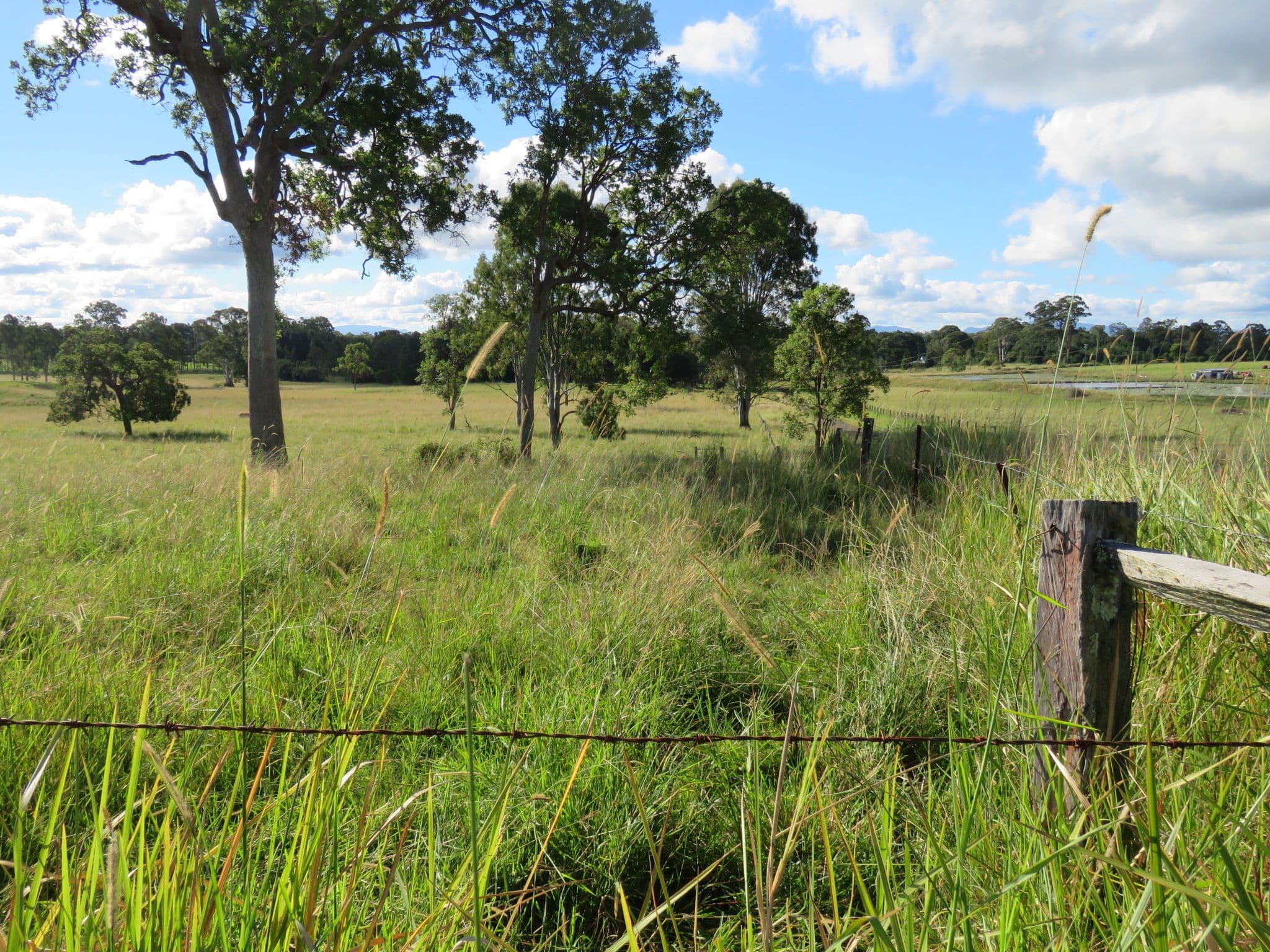 134 Fredericks Road, Caniaba NSW 2480, Caniaba - Thumbnail 2