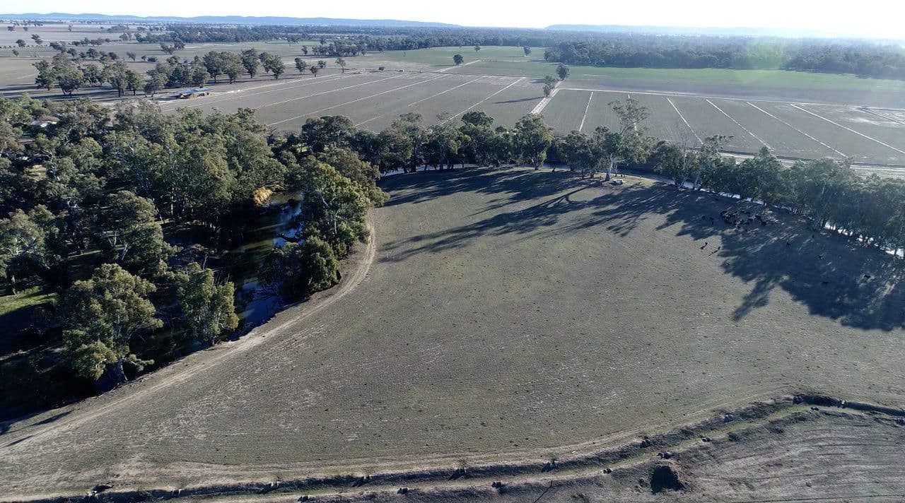 475 Gaymards Lane, Forbes NSW 2871, Forbes - Thumbnail 8