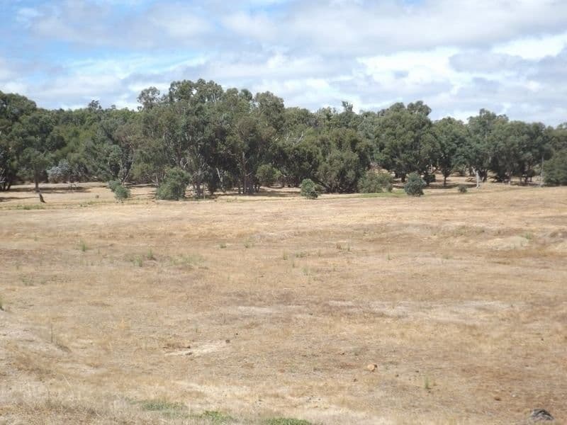 Bridgetown WA 6255, Bridgetown - Thumbnail 6