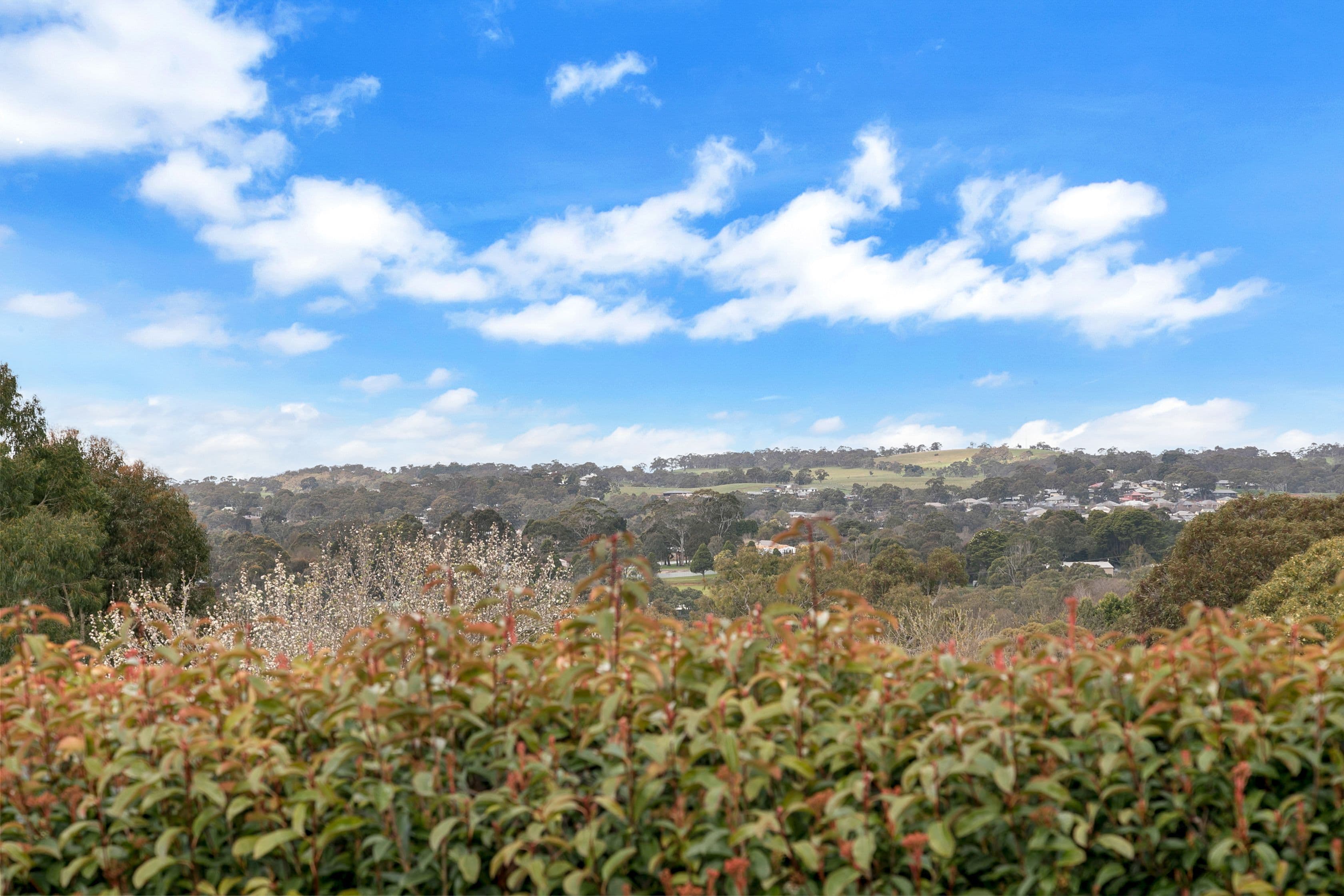 23 Silverwood Drive, Mount Barker SA 5251, Mount Barker - Thumbnail 4