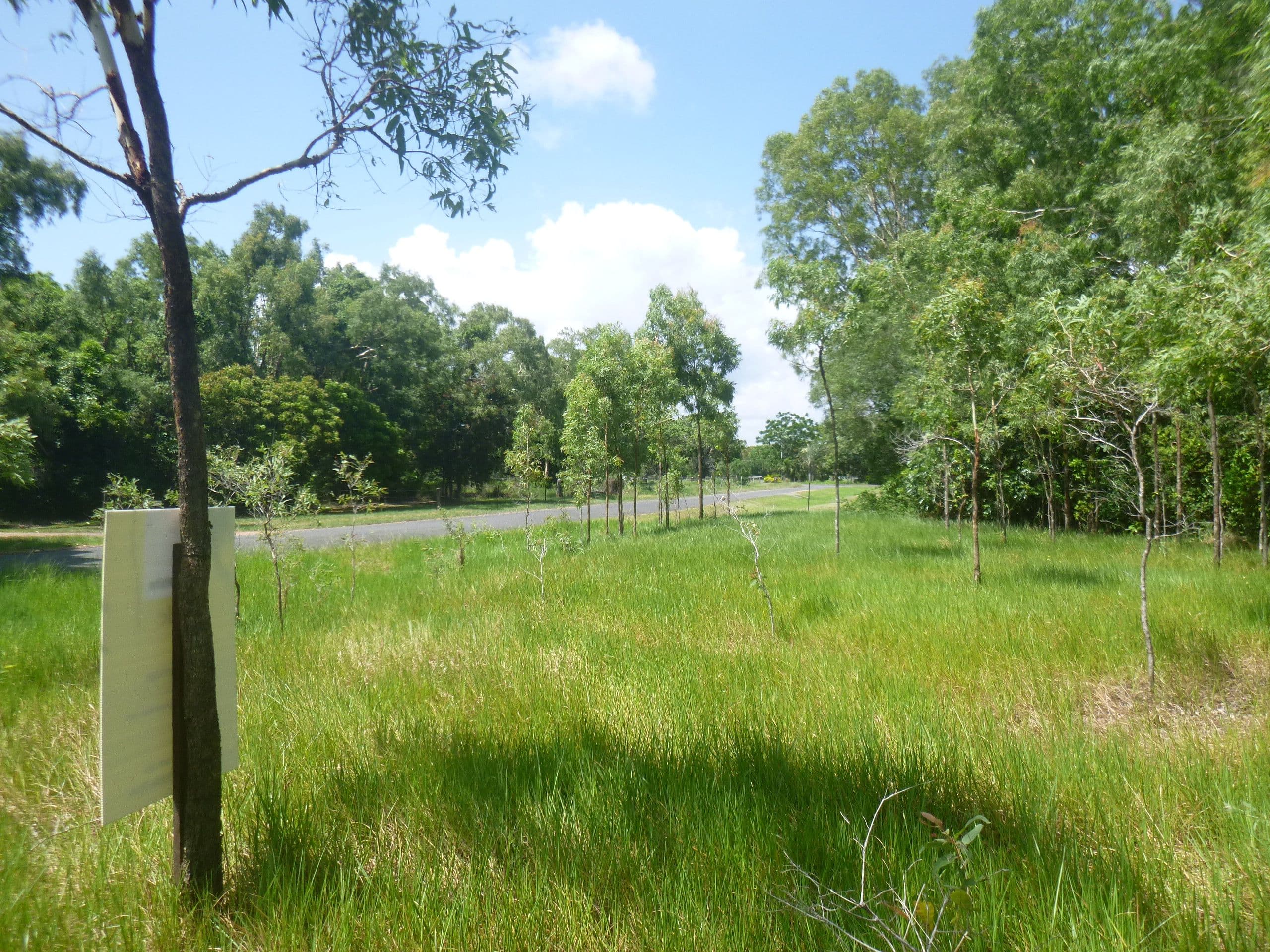 29 Slaughter Yard Road, Cooktown QLD 4895, Cooktown - Thumbnail 4