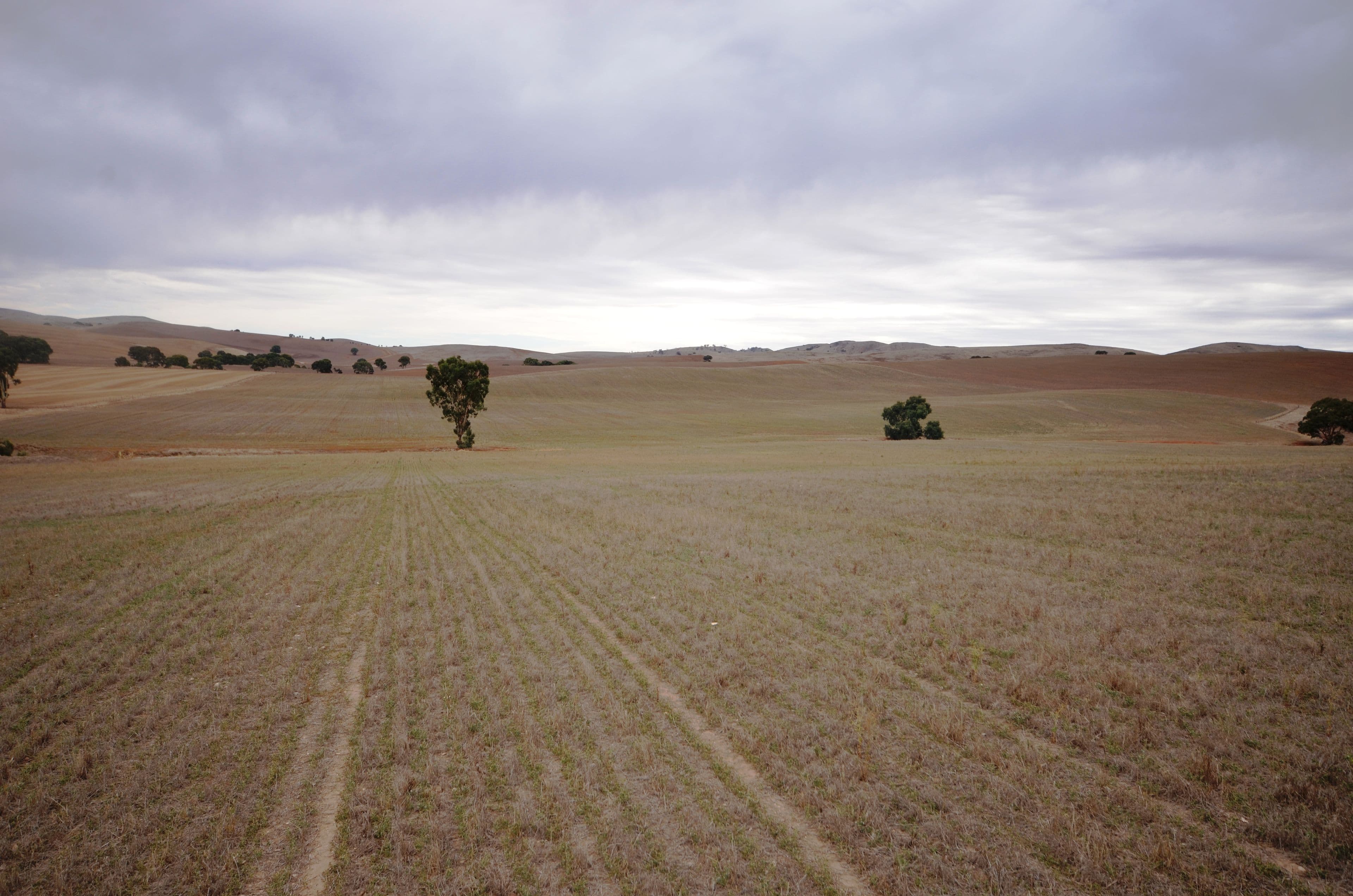 'Harveys' Pattersons Road, Gulnare SA 5471, Gulnare - Image 1