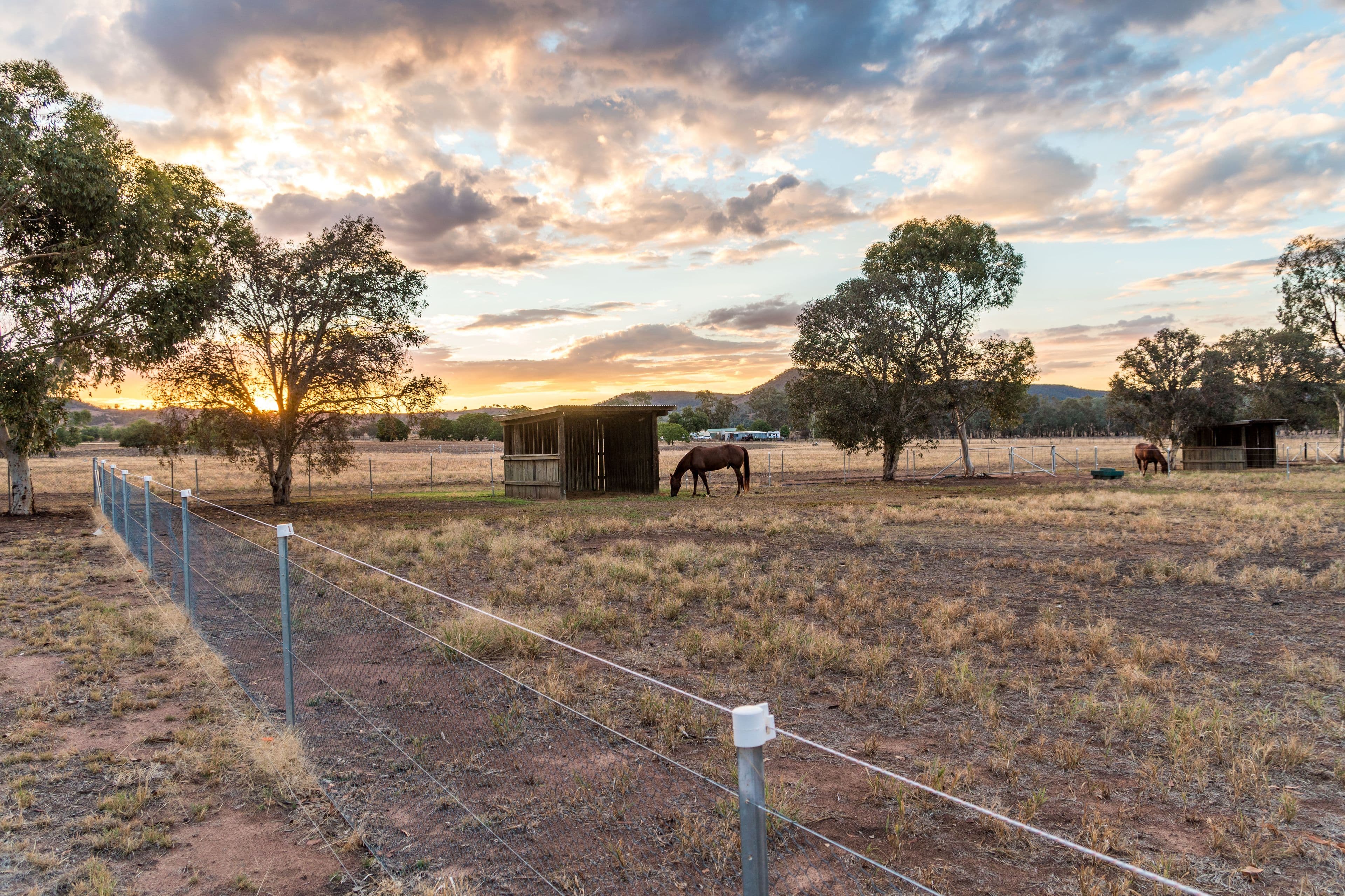 154 Broula Road, Cowra NSW 2794, Cowra - Thumbnail 6