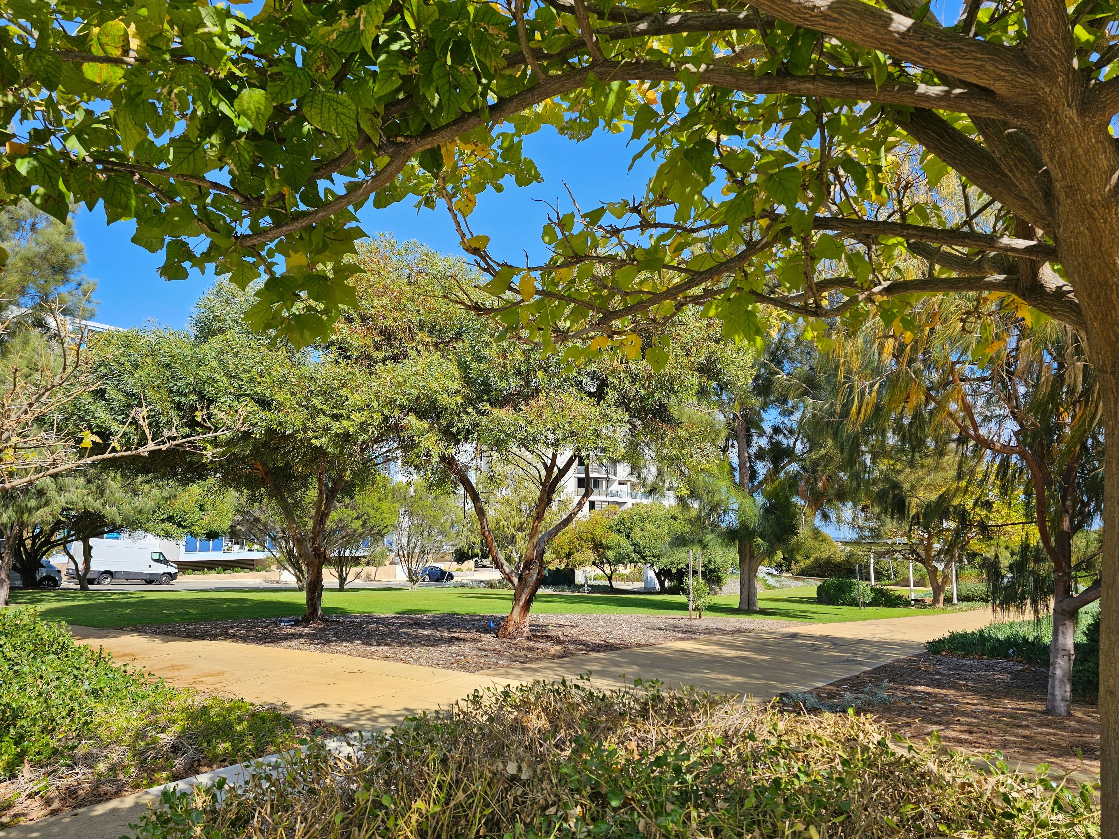 85 Caledonia Loop, North Coogee WA 6163, North Coogee - Thumbnail 4